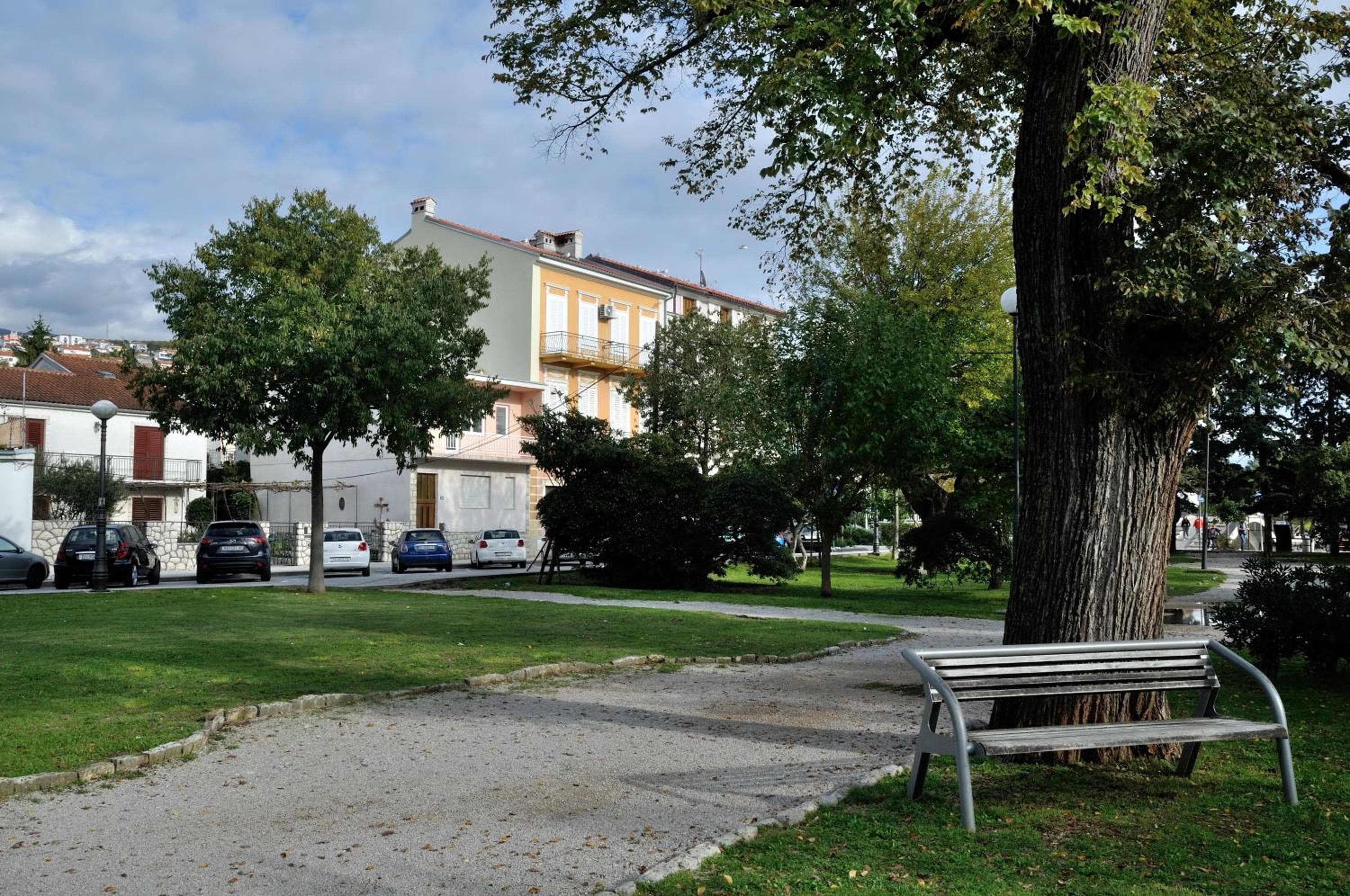 Photo 20