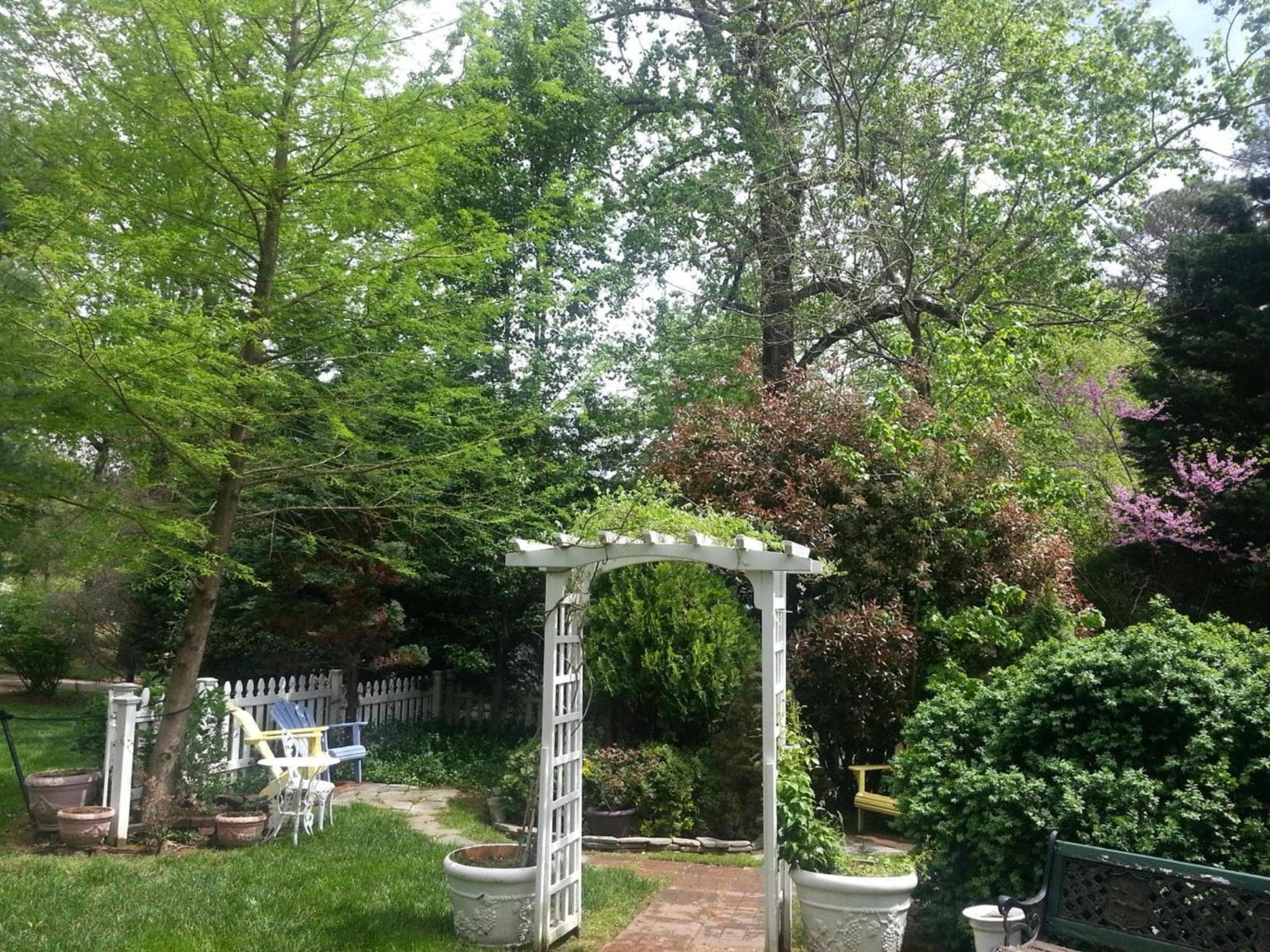 Photo 15