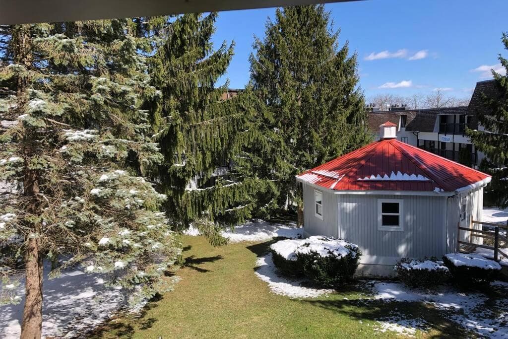 Photo 5
