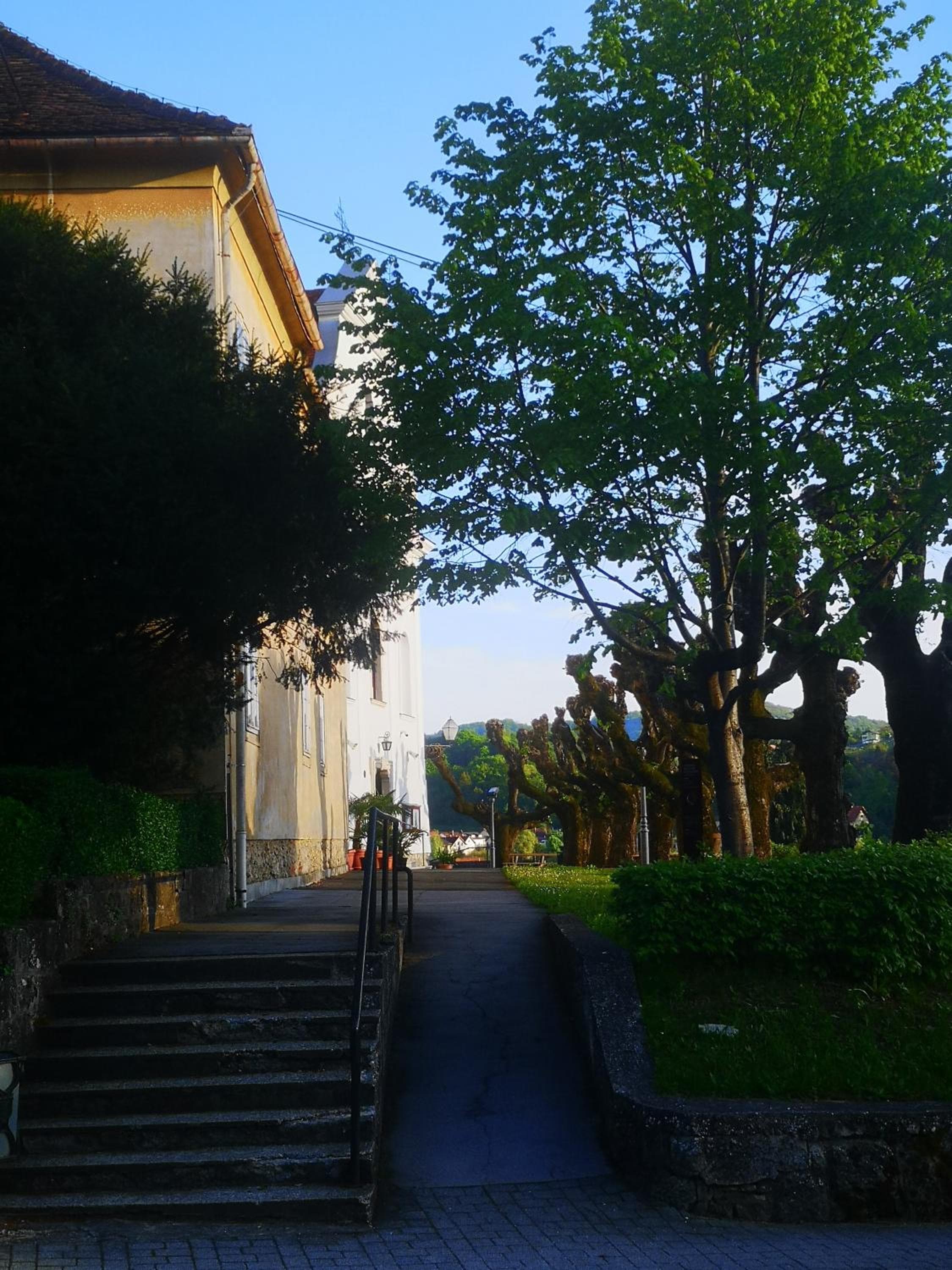 Photo 22