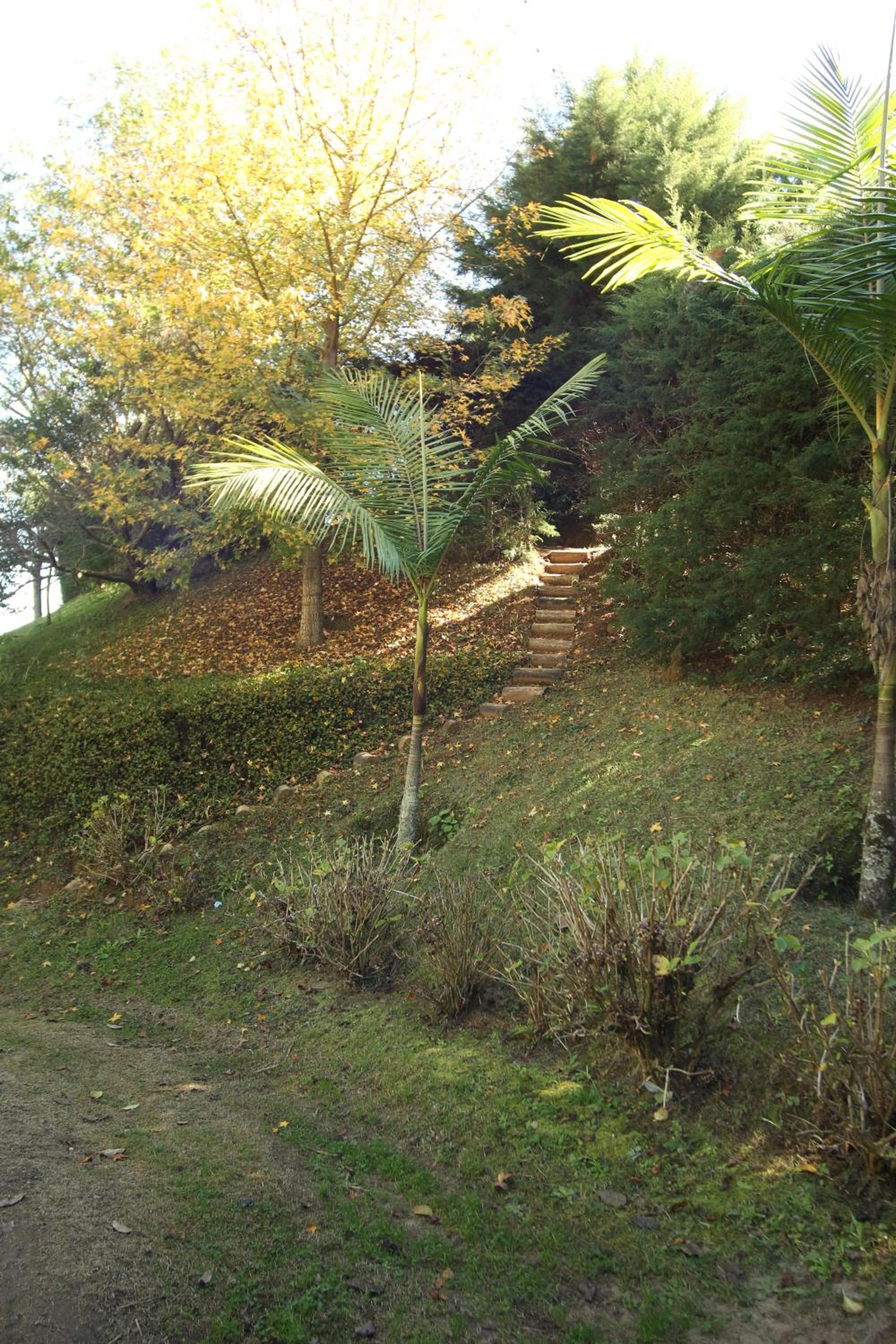 Photo 34