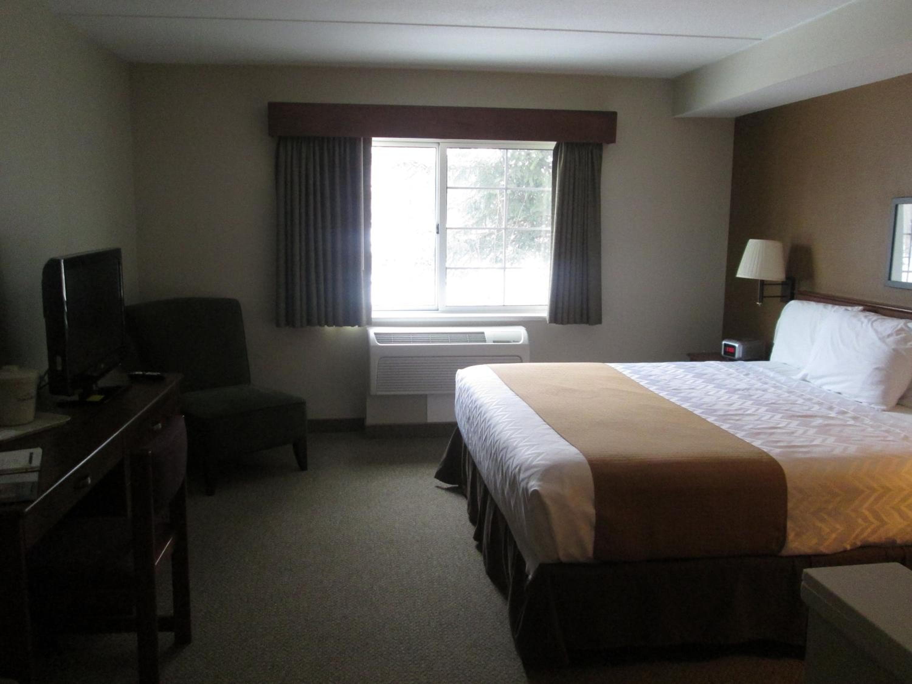 Photo 42