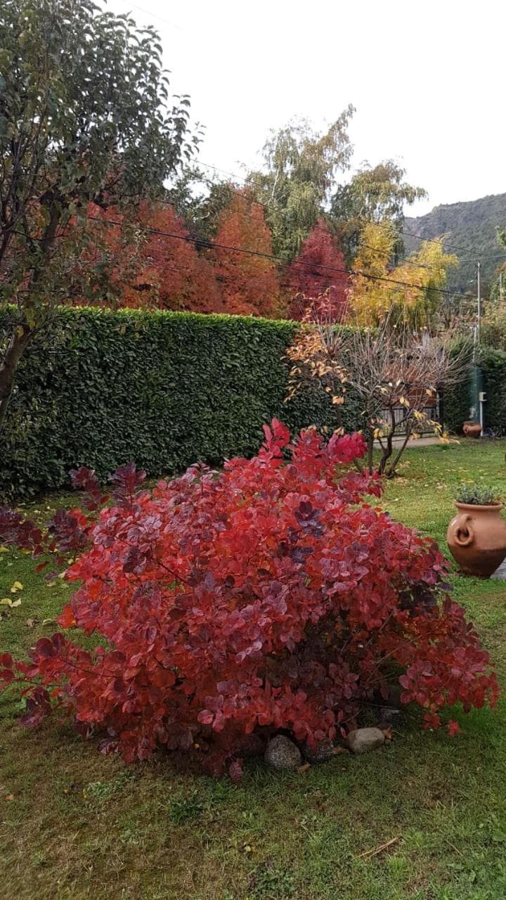 Photo 36