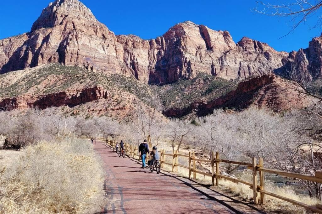 Photo 31