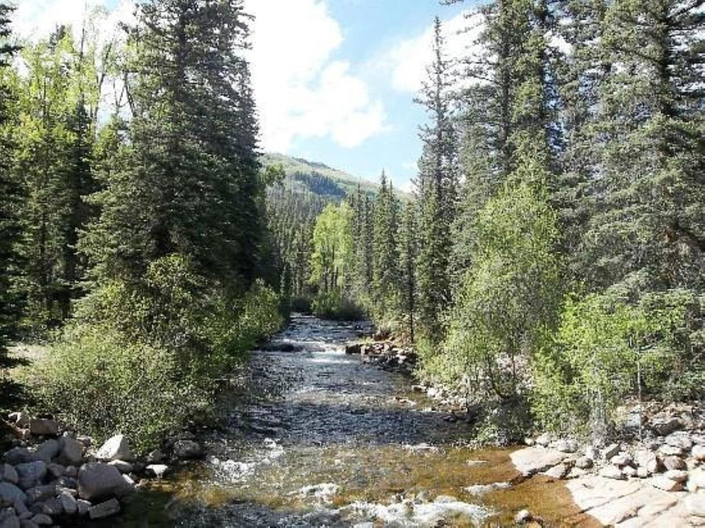 Photo 27
