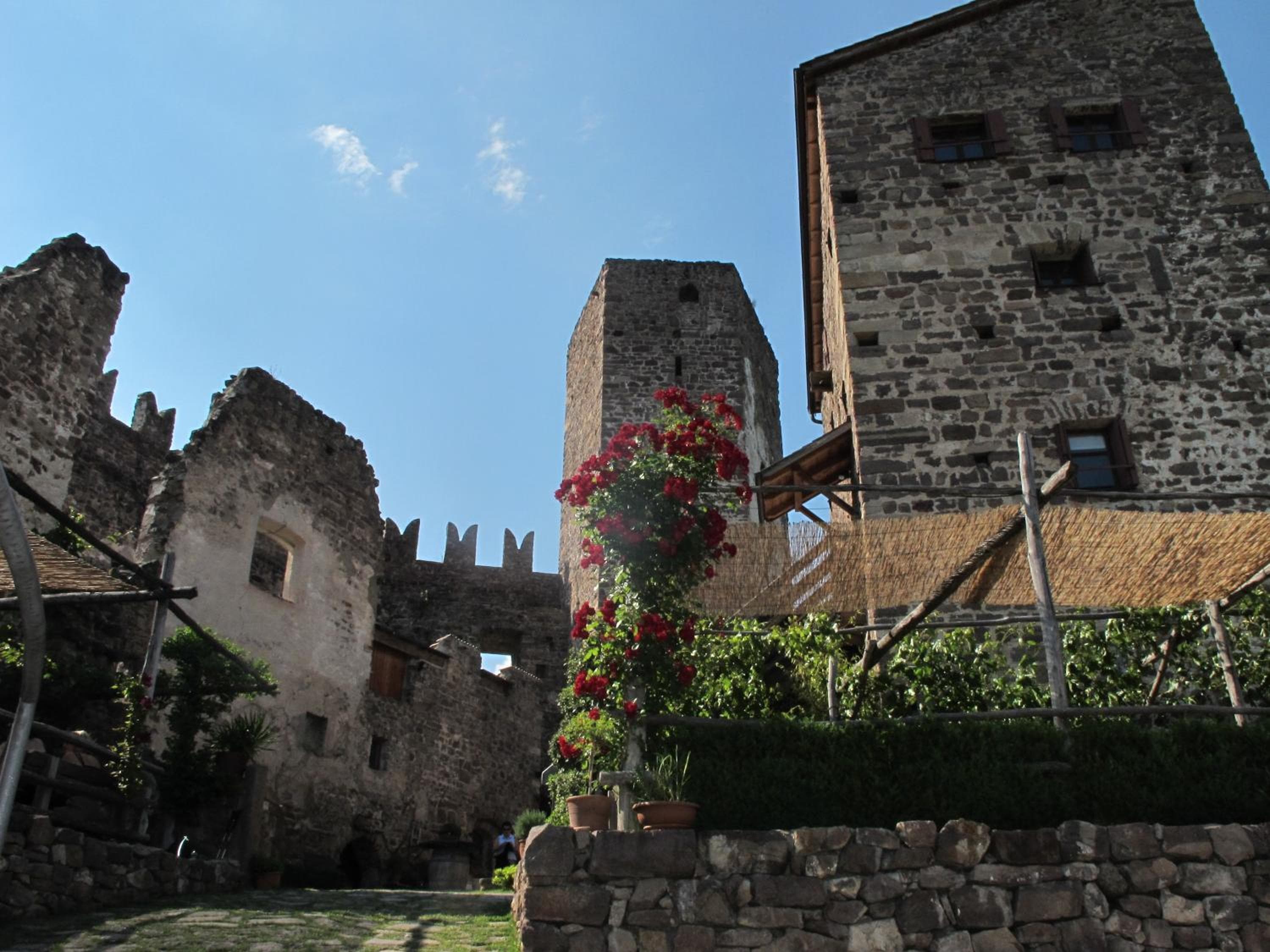 Photo 43