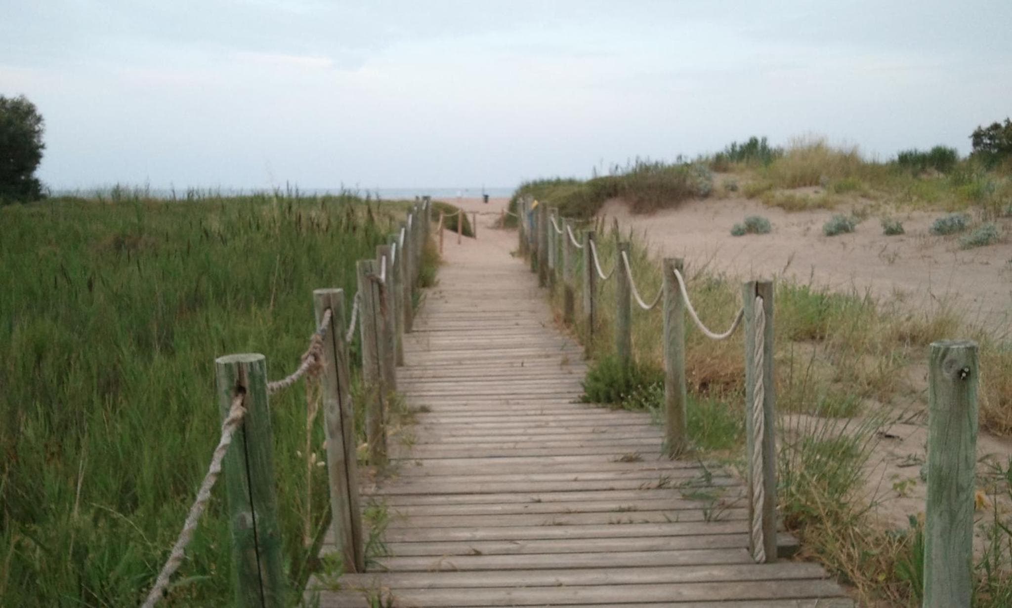 Photo 45