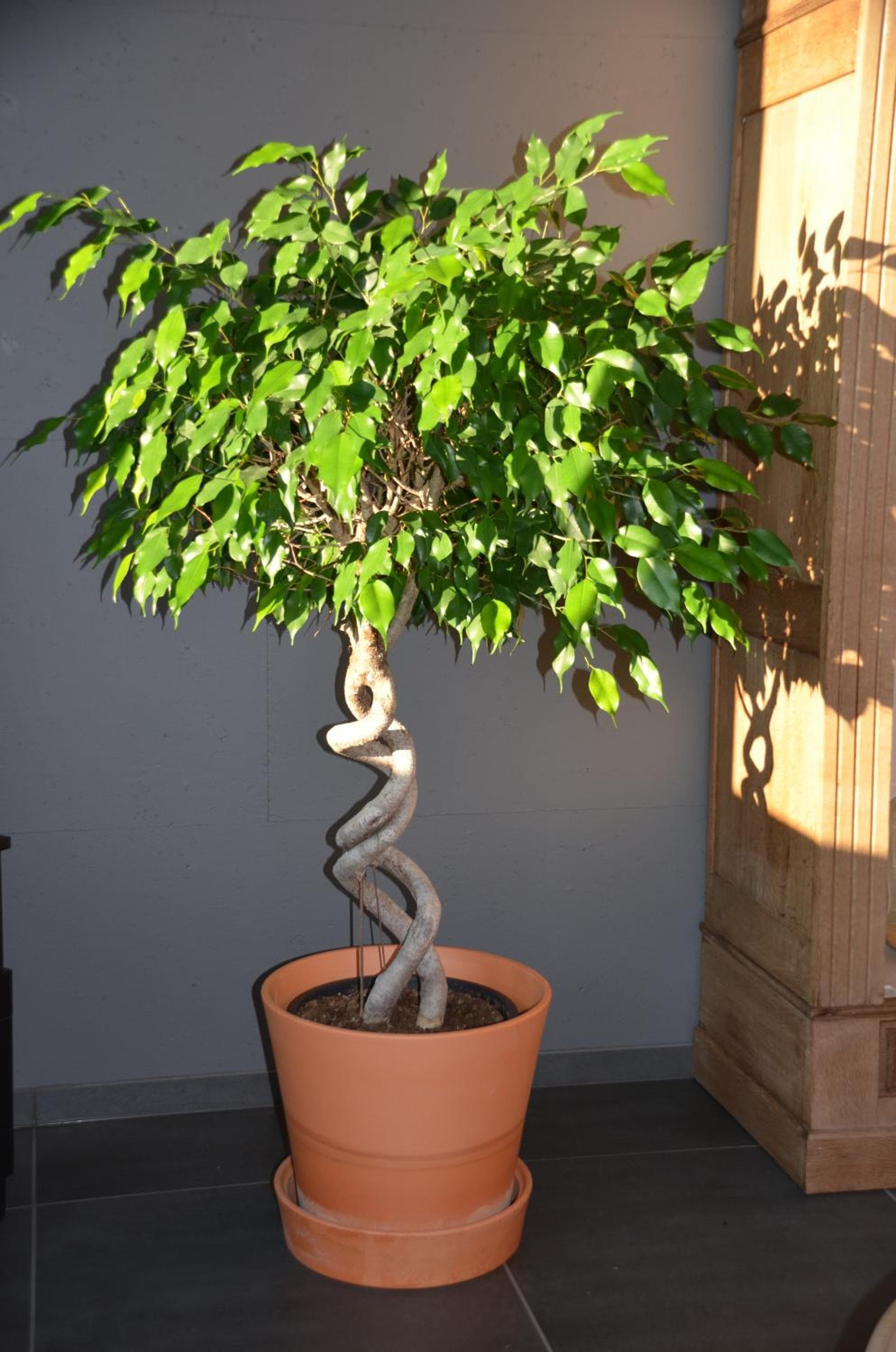 Photo 8