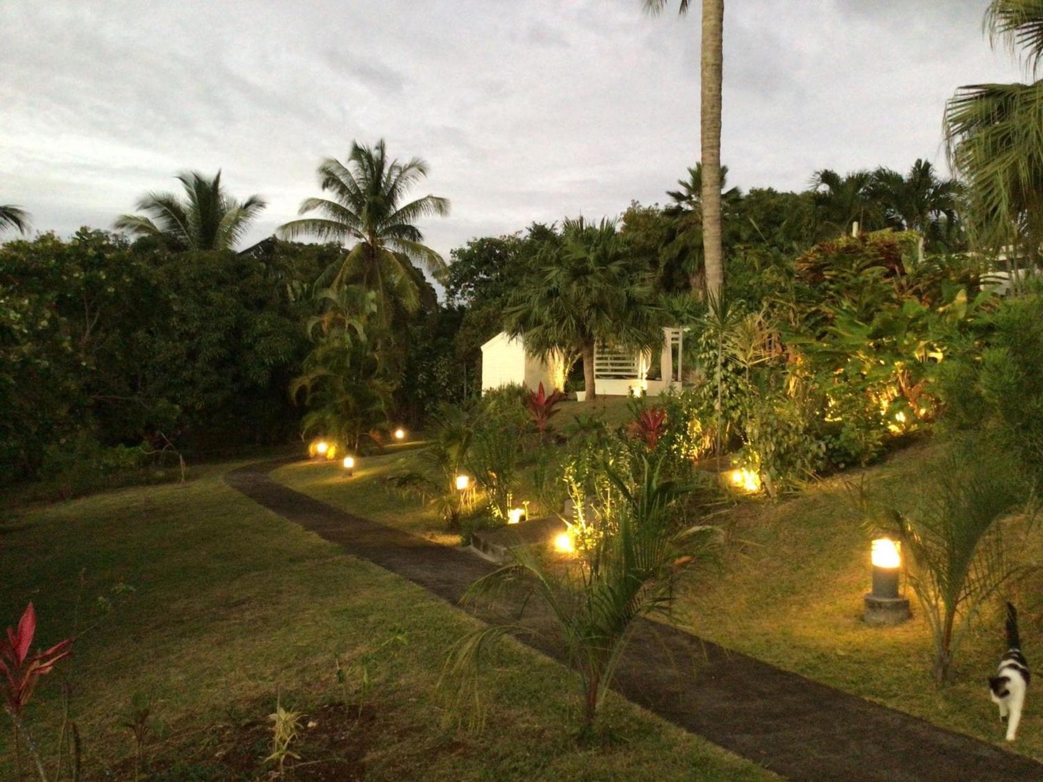 Photo 21