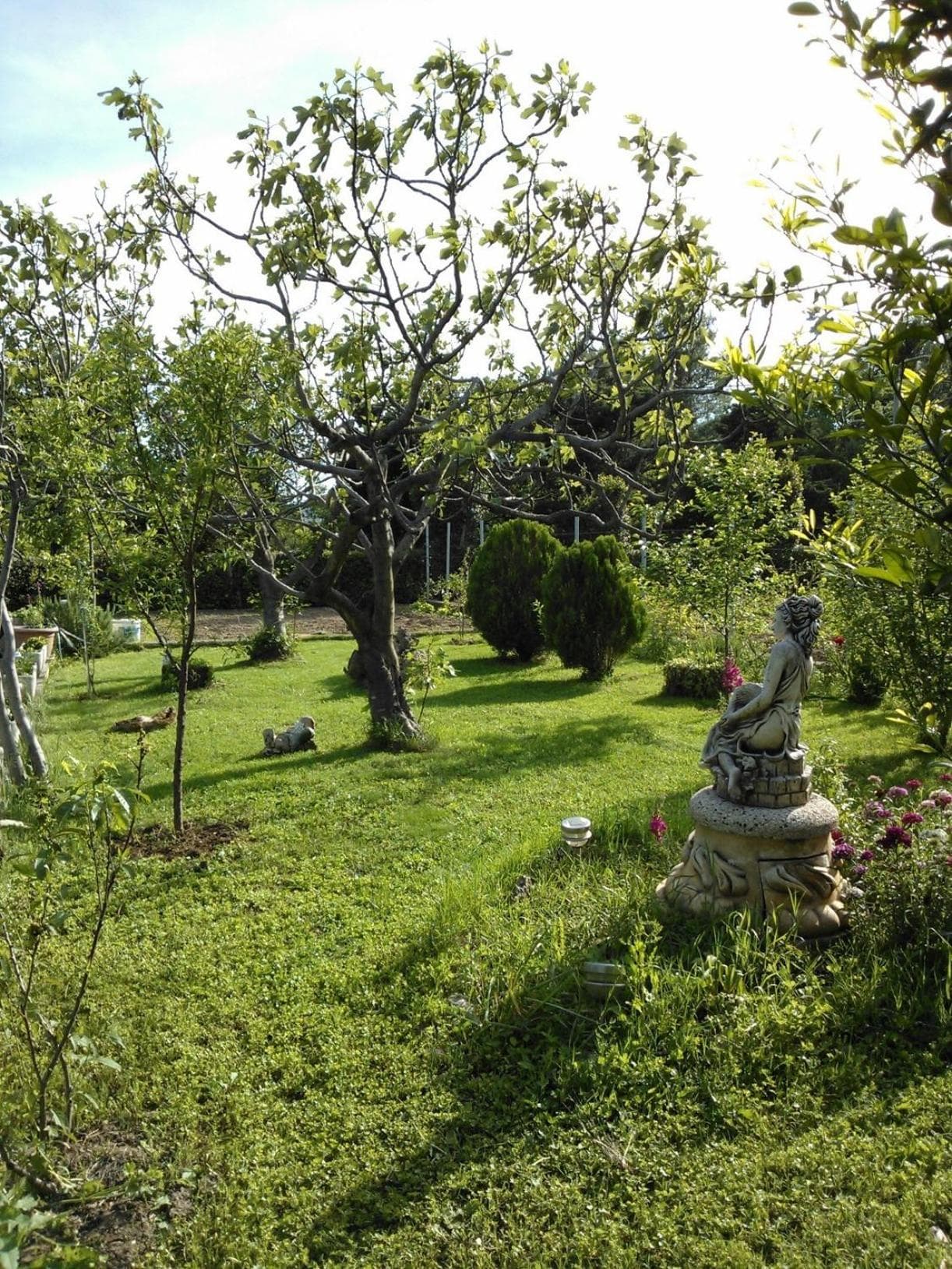 Photo 50