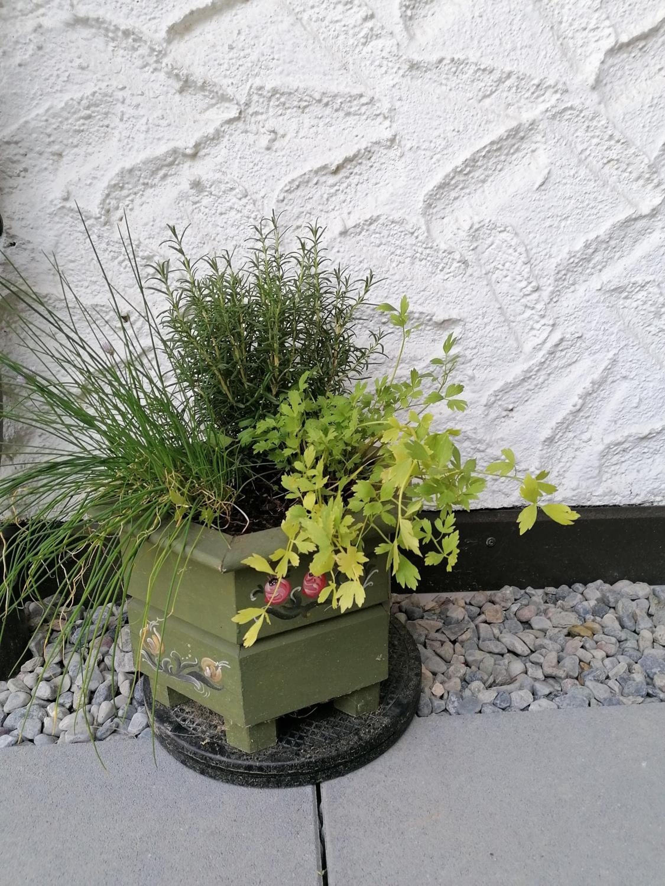 Photo 29