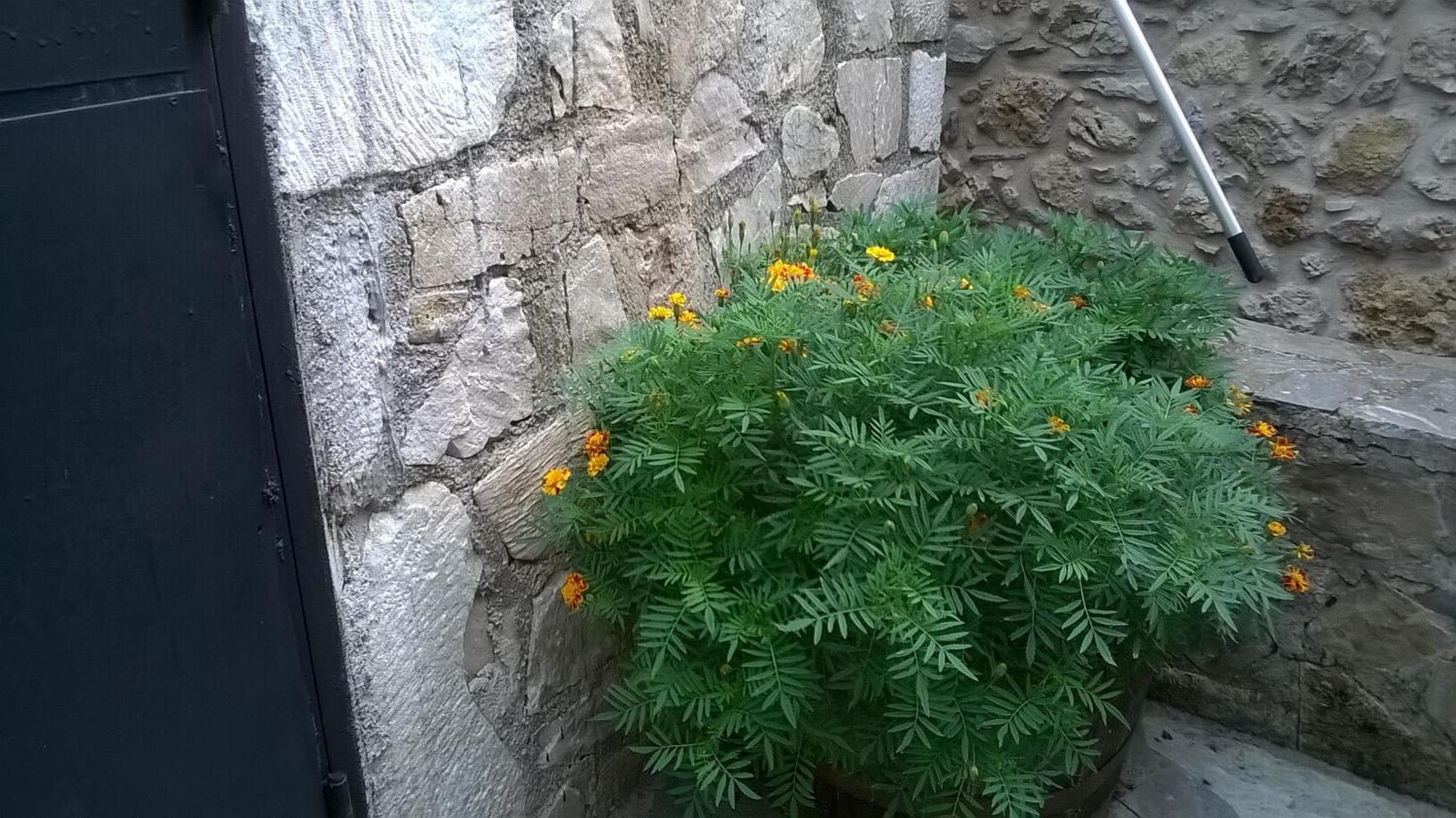 Photo 44