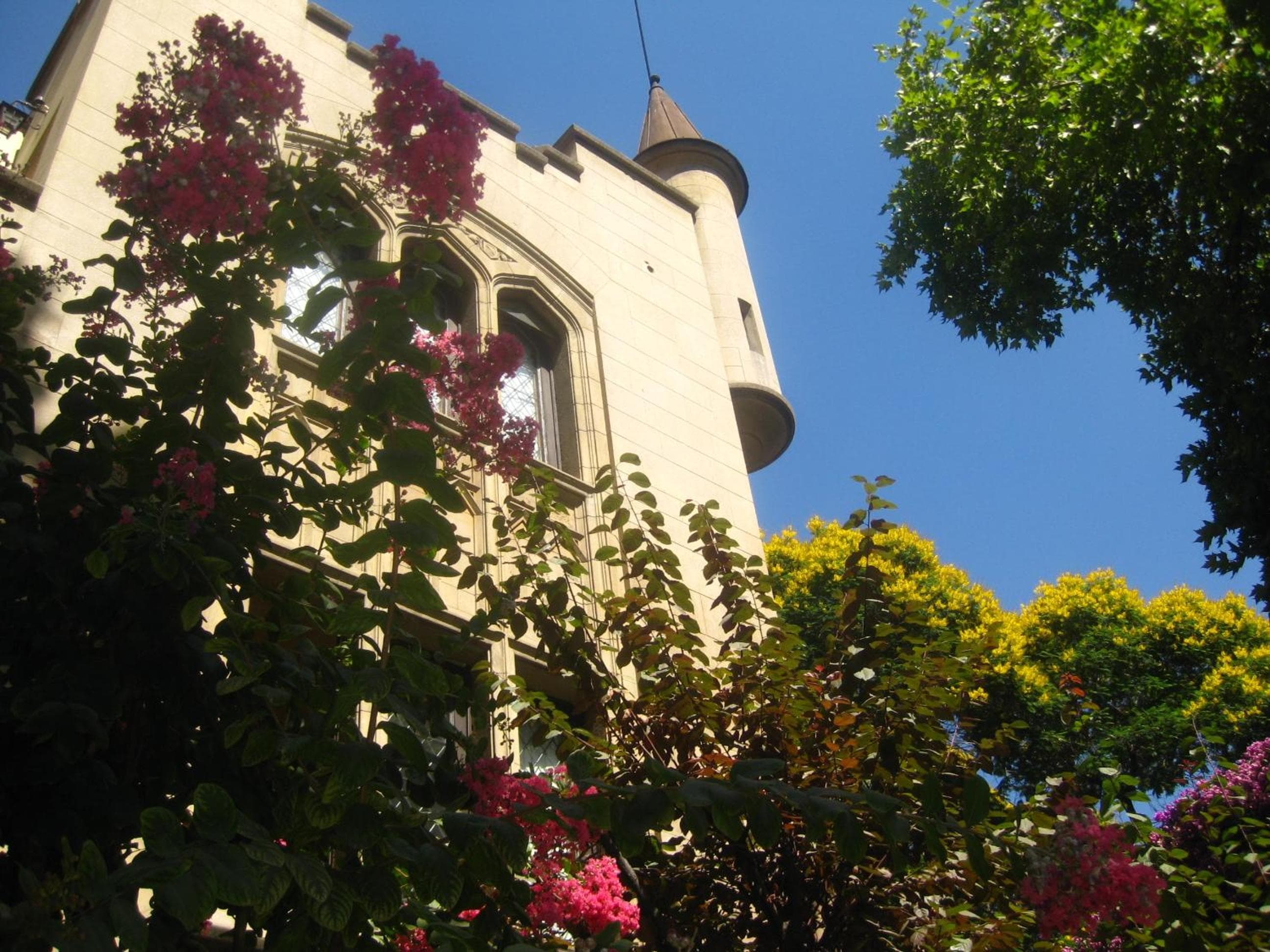 Photo 29