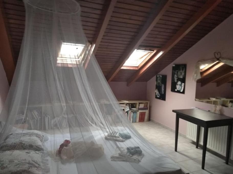 Photo 15