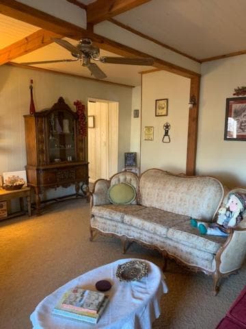 Photo 46