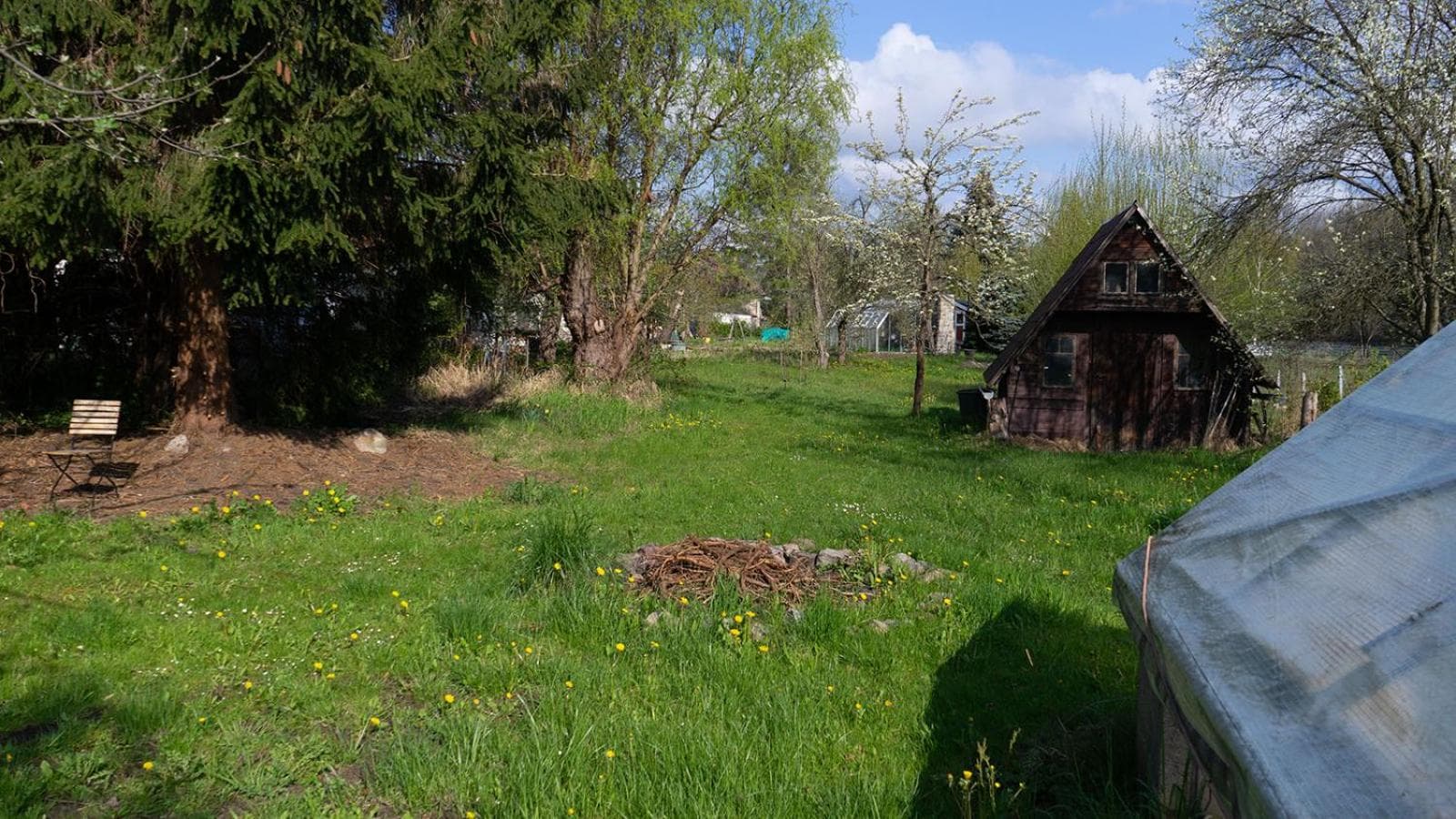 Photo 35