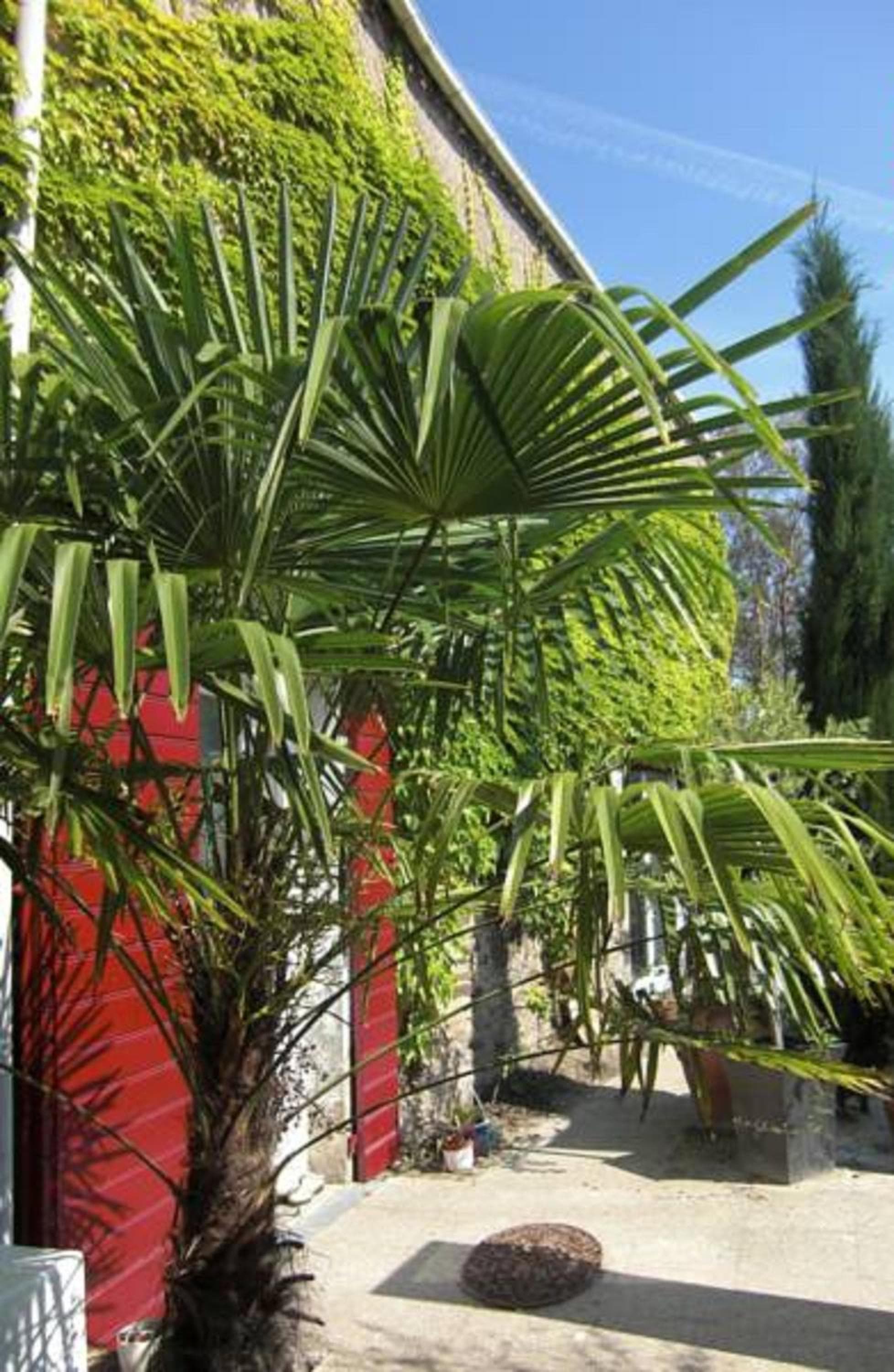 Photo 17