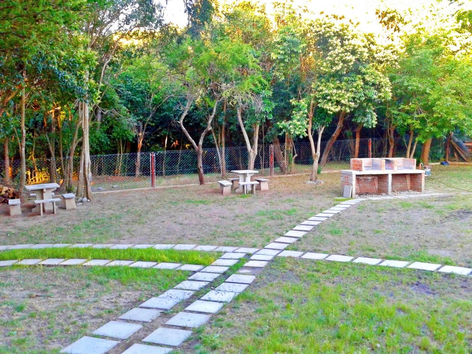 Photo 31
