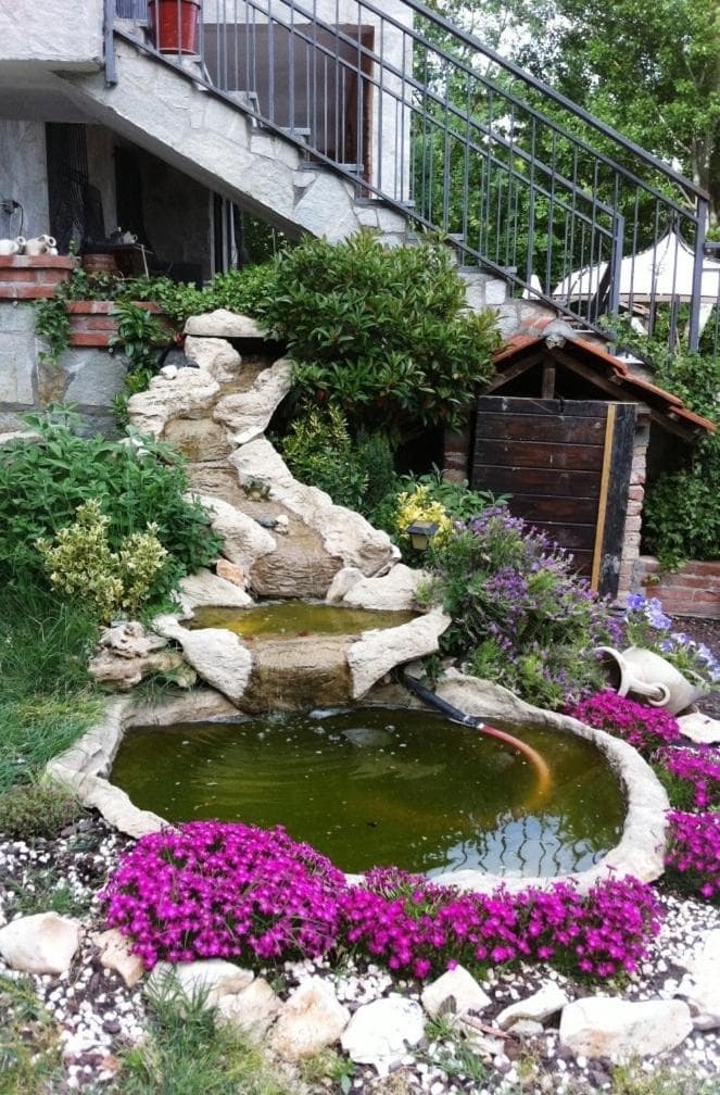 Photo 56