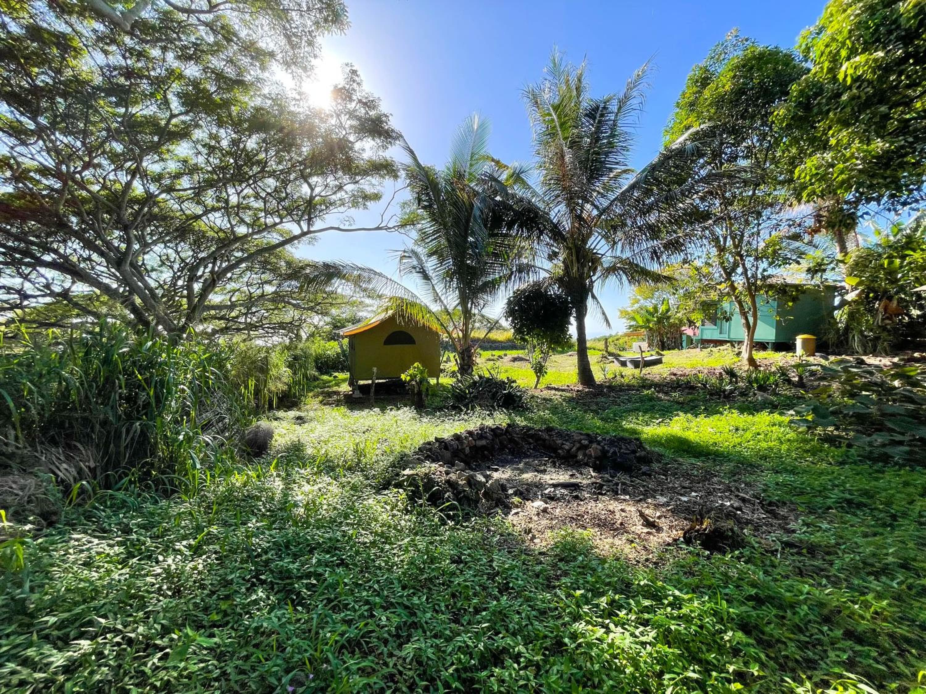 Photo 50