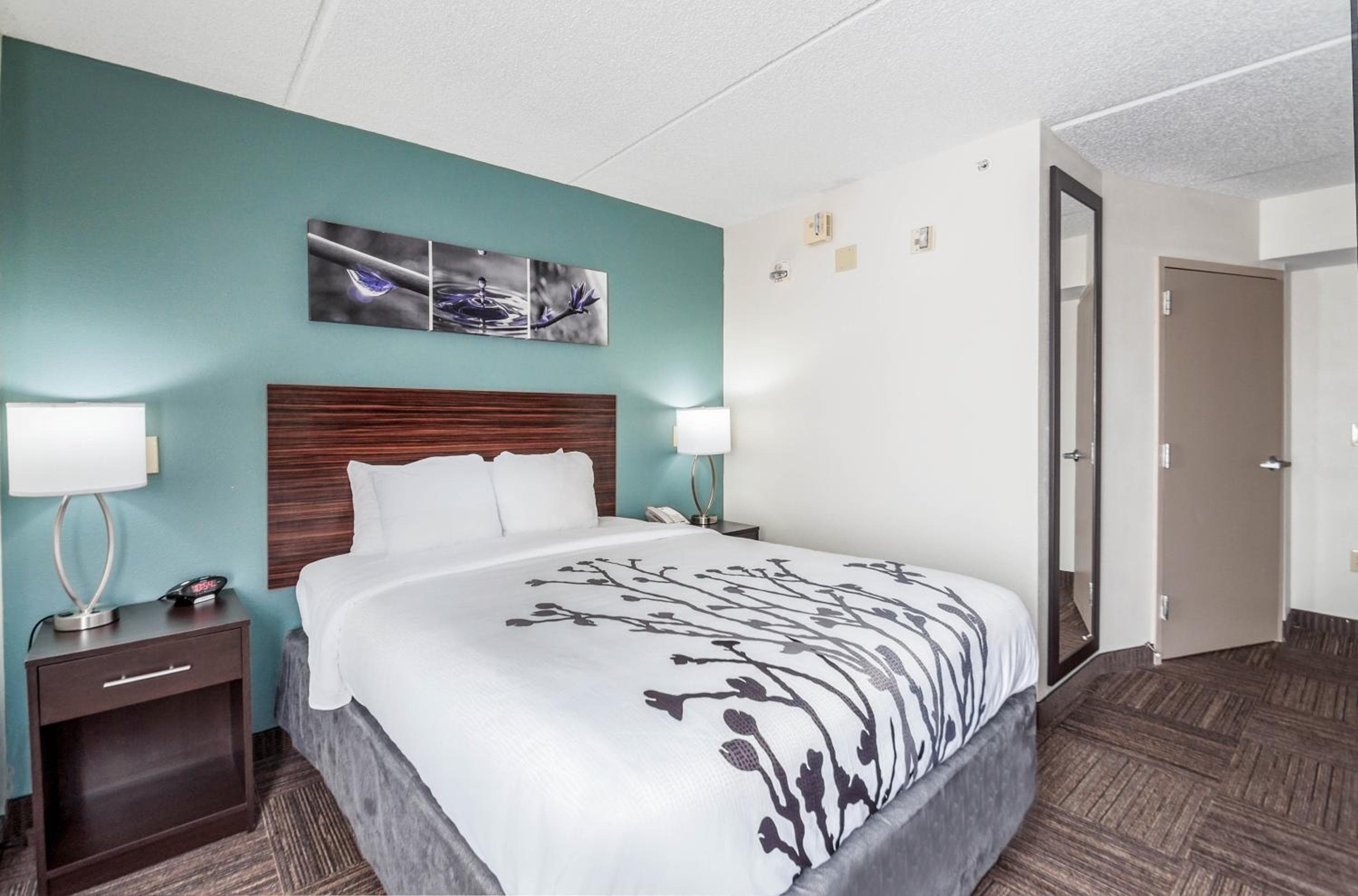 Photo 4