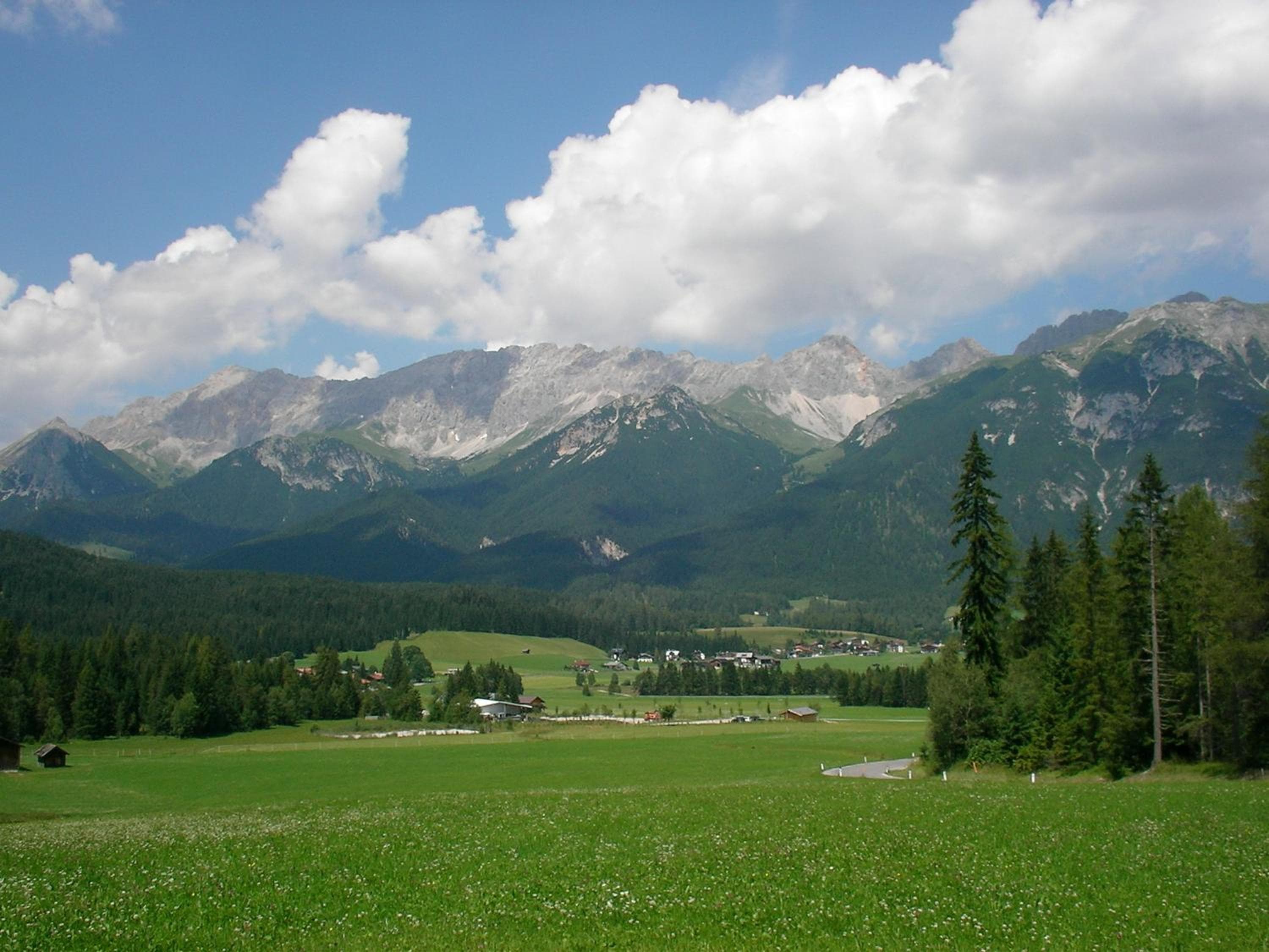 Photo 45