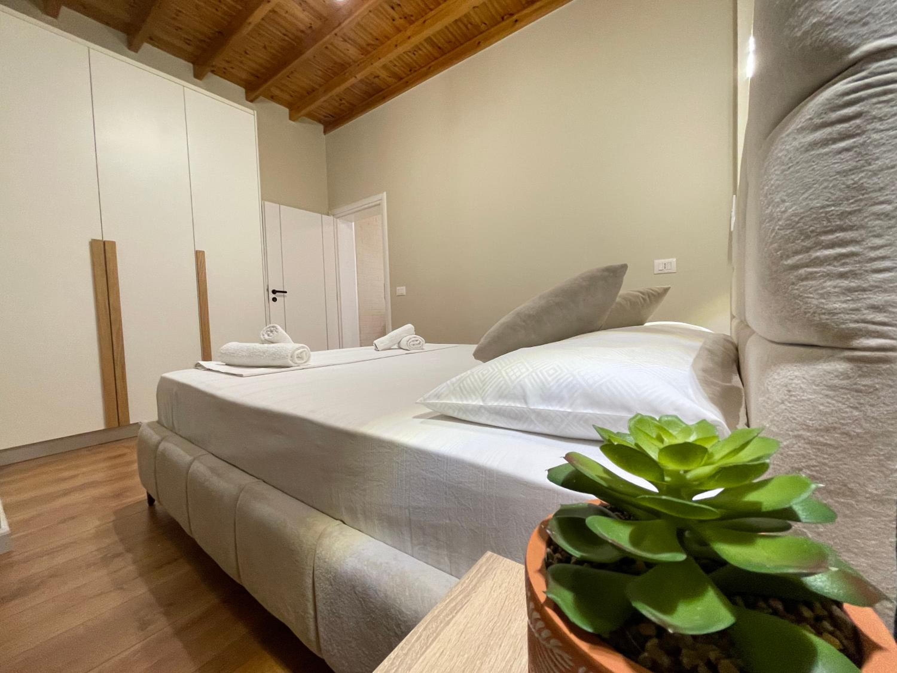 Photo 244