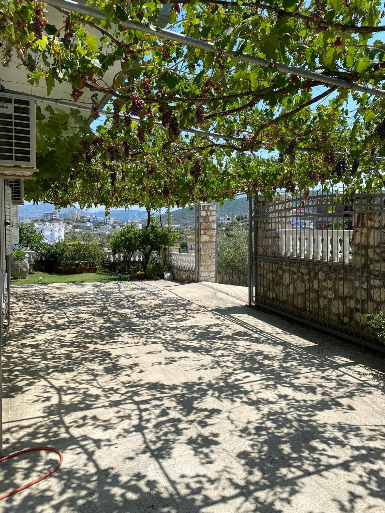 Photo 55