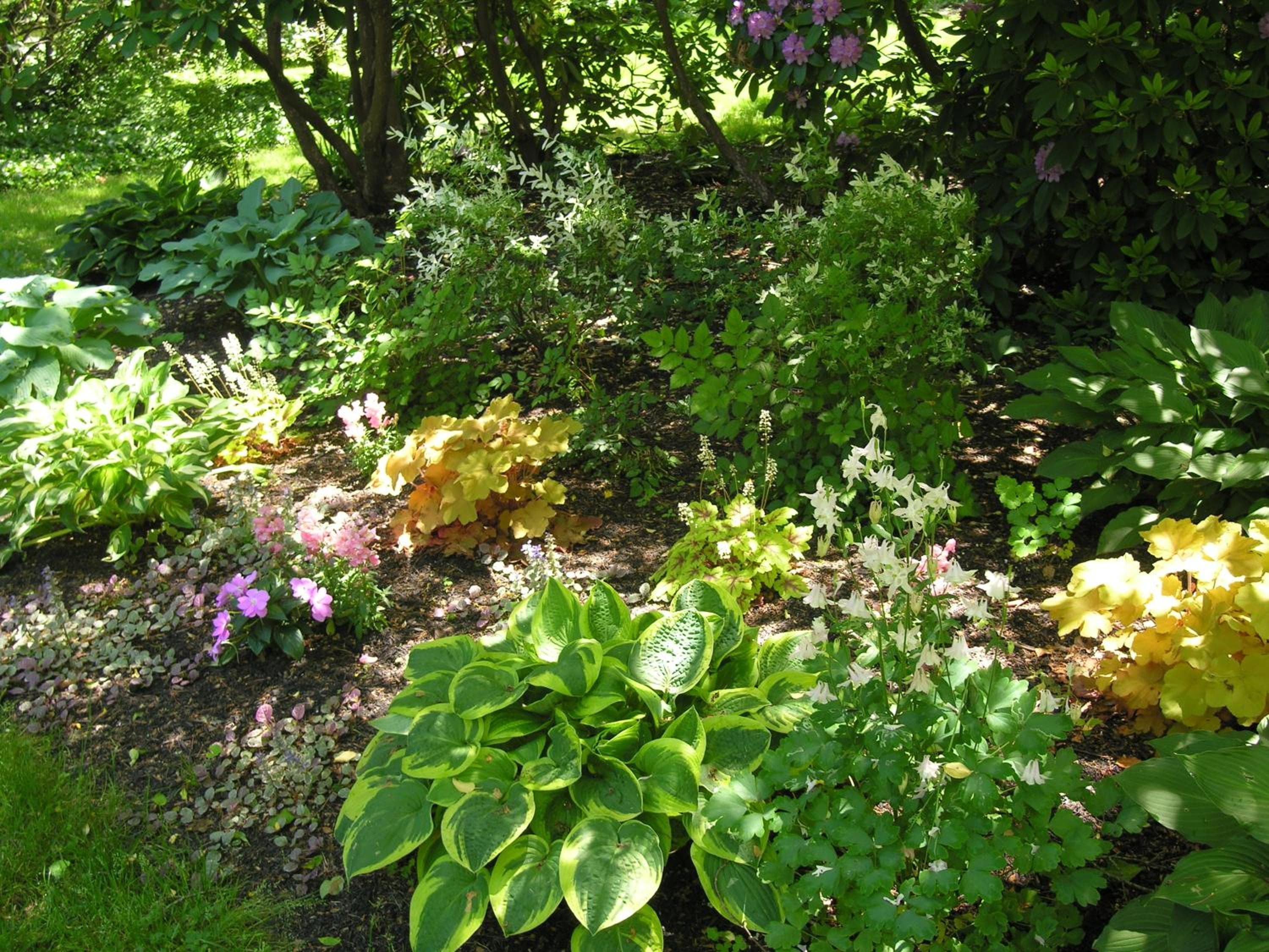 Photo 24