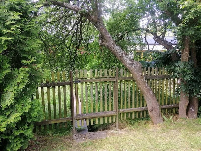 Photo 24