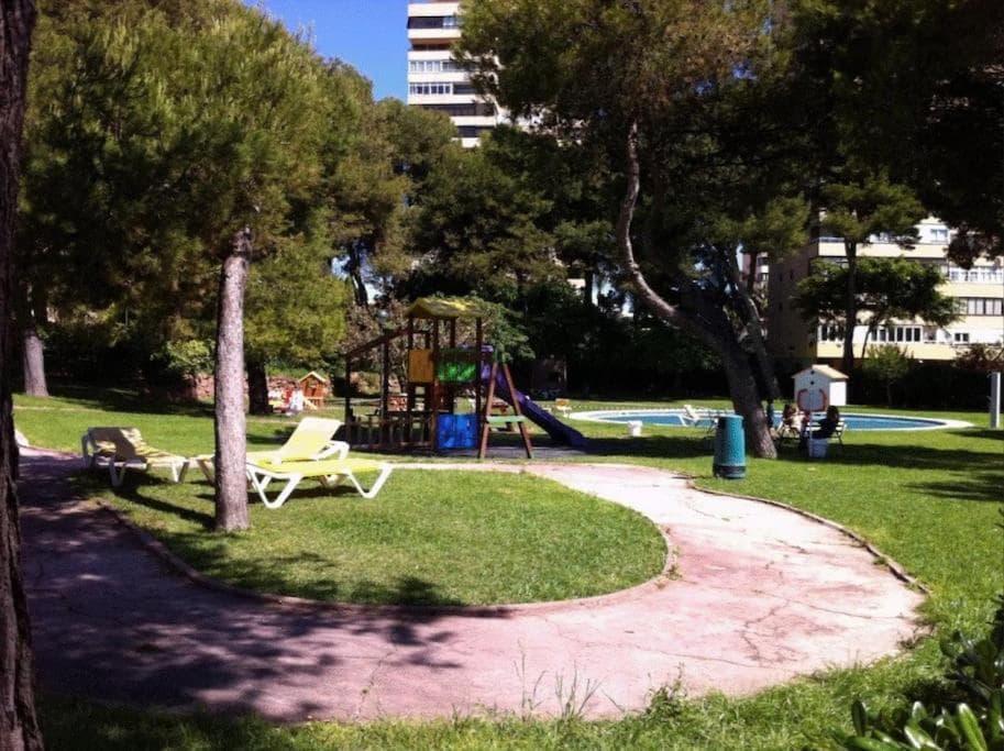 Photo 7