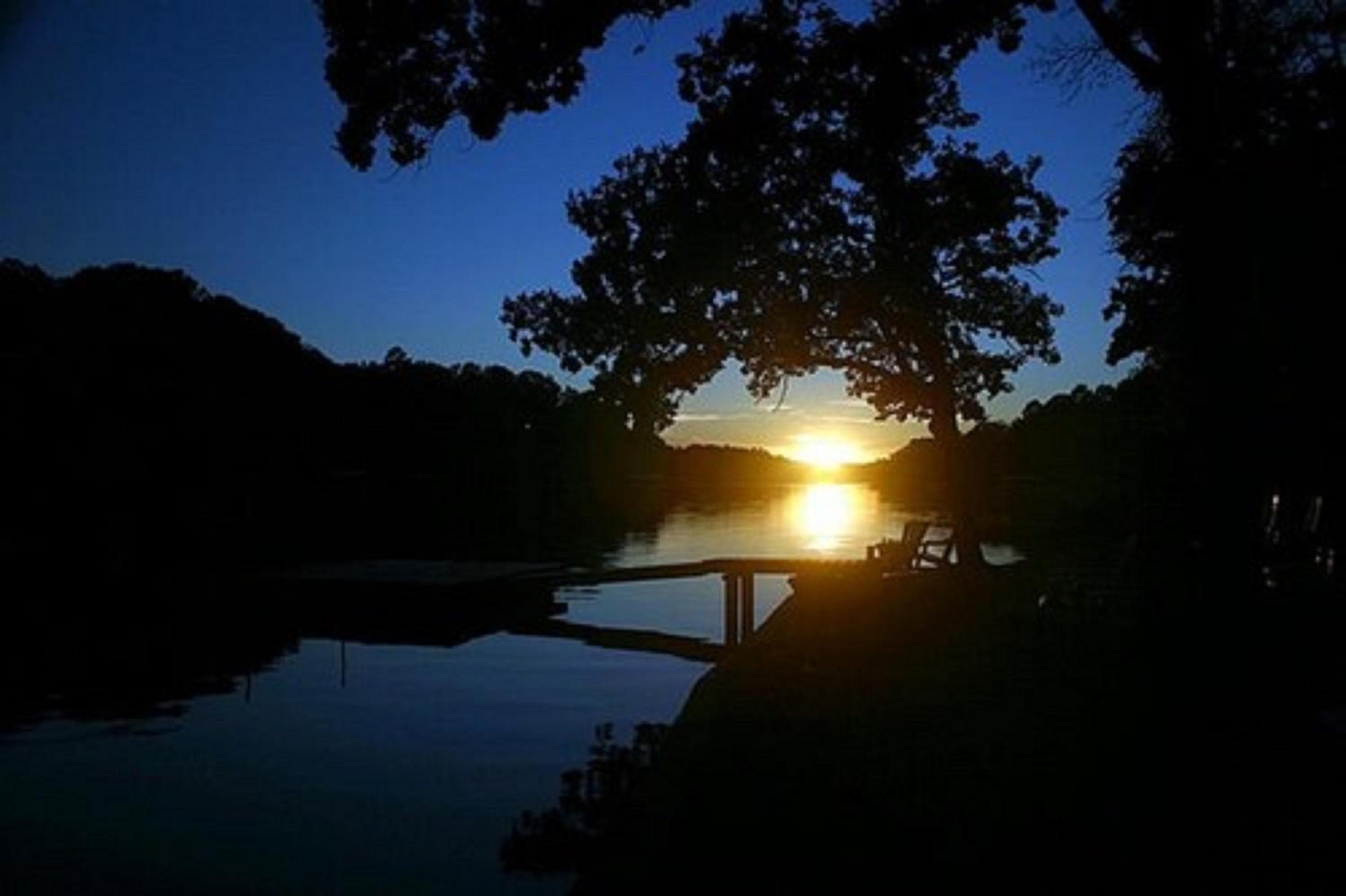 Photo 62