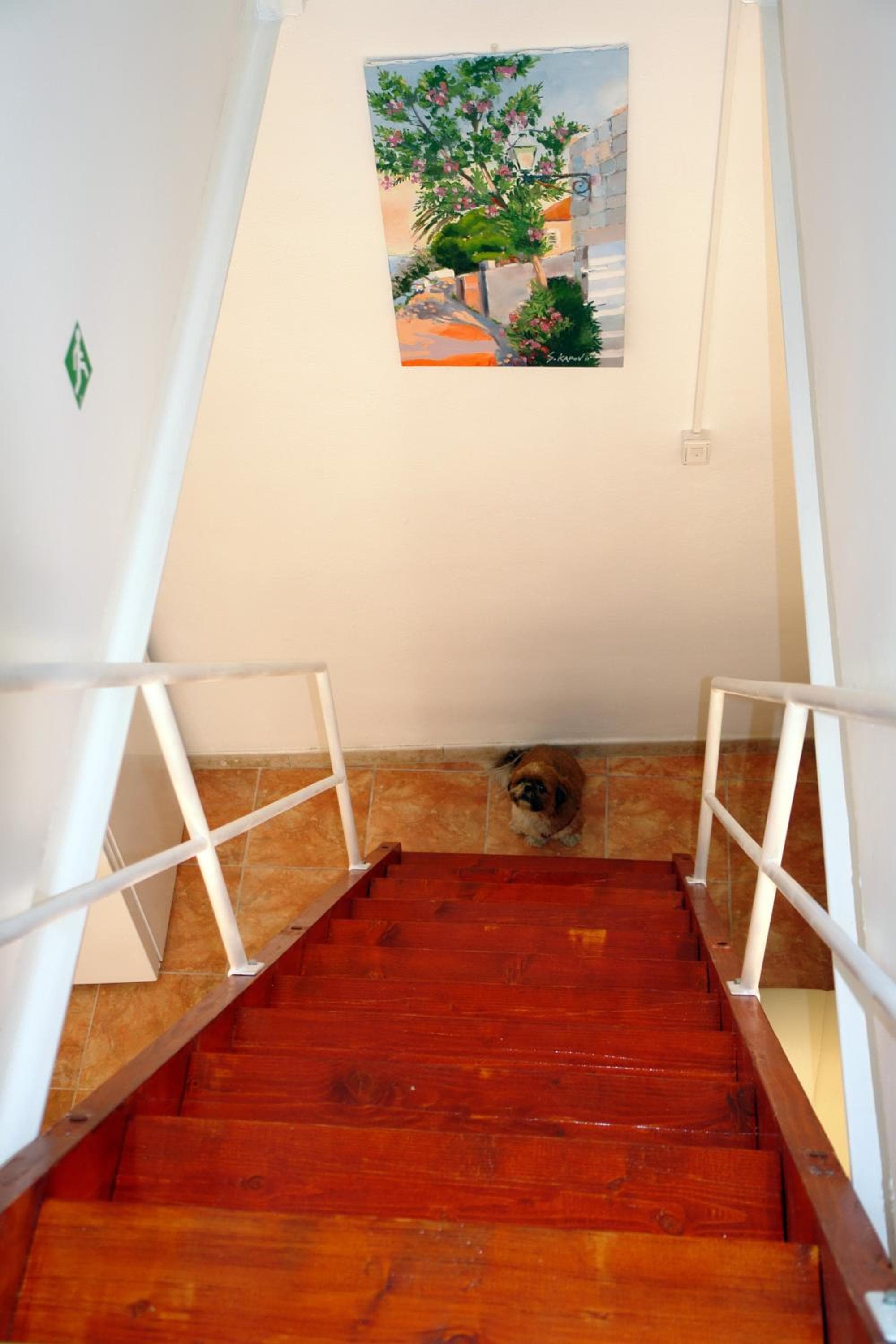 Photo 7