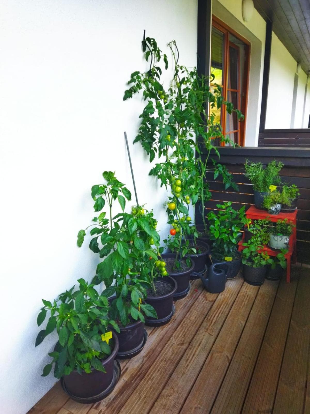 Photo 8