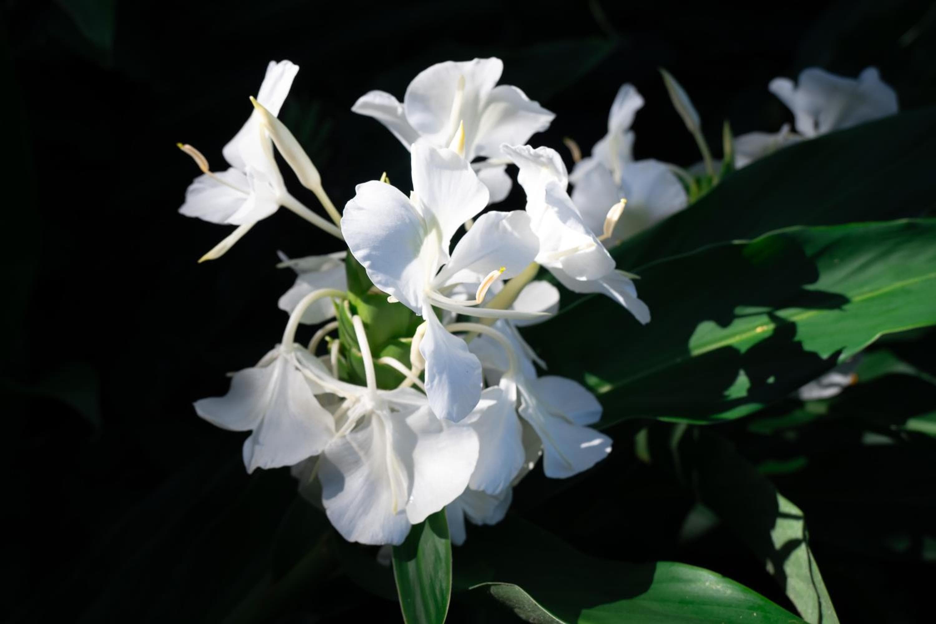 Photo 49