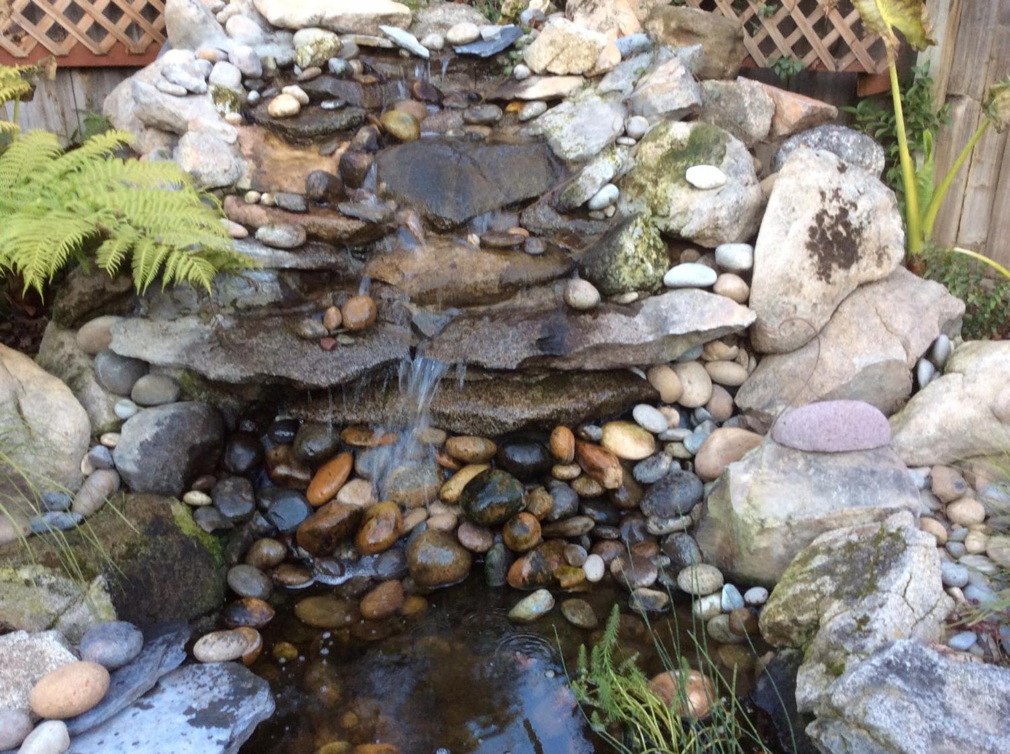Photo 3