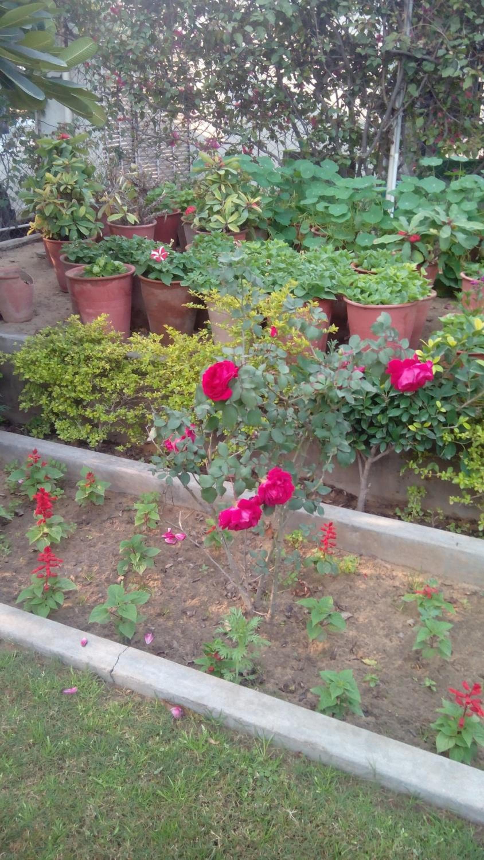 Photo 4