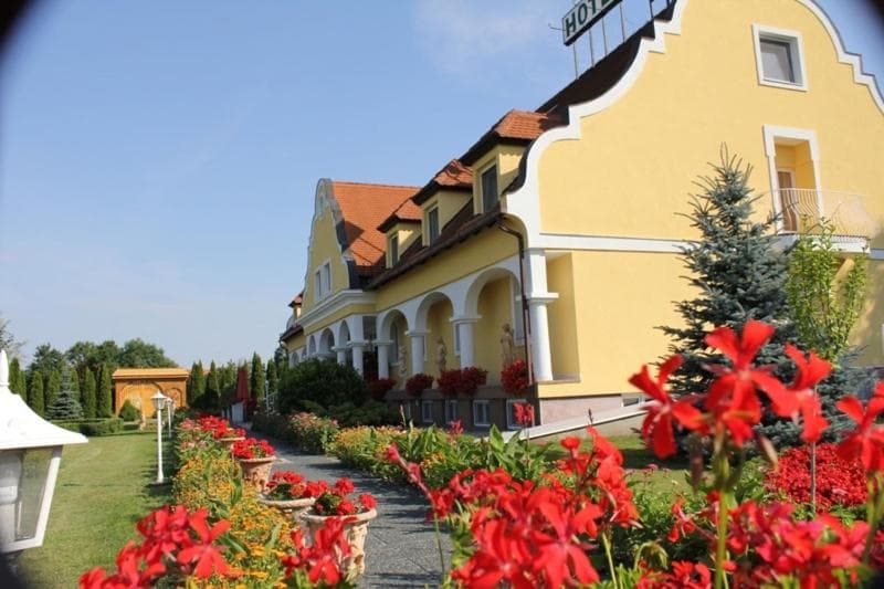 Photo 4