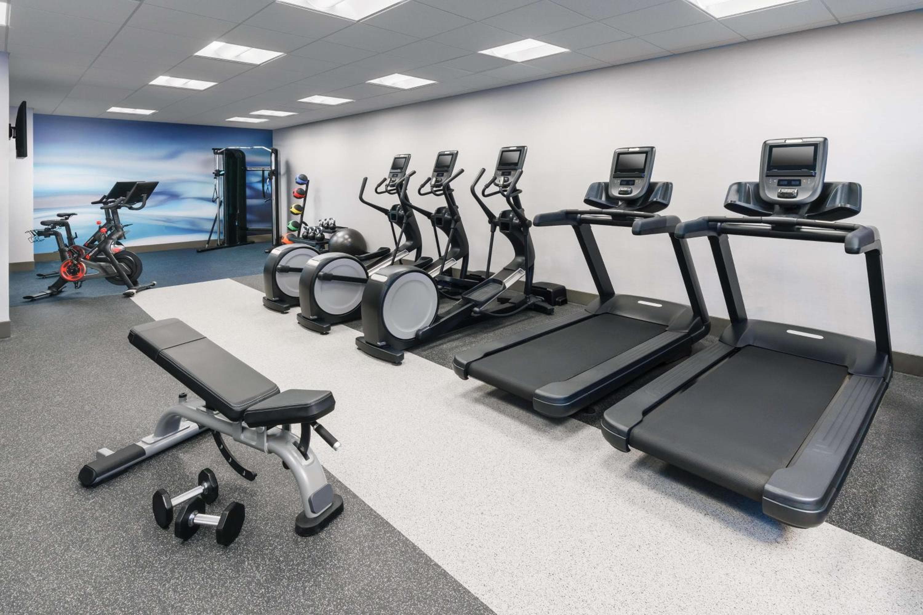 Photo 45