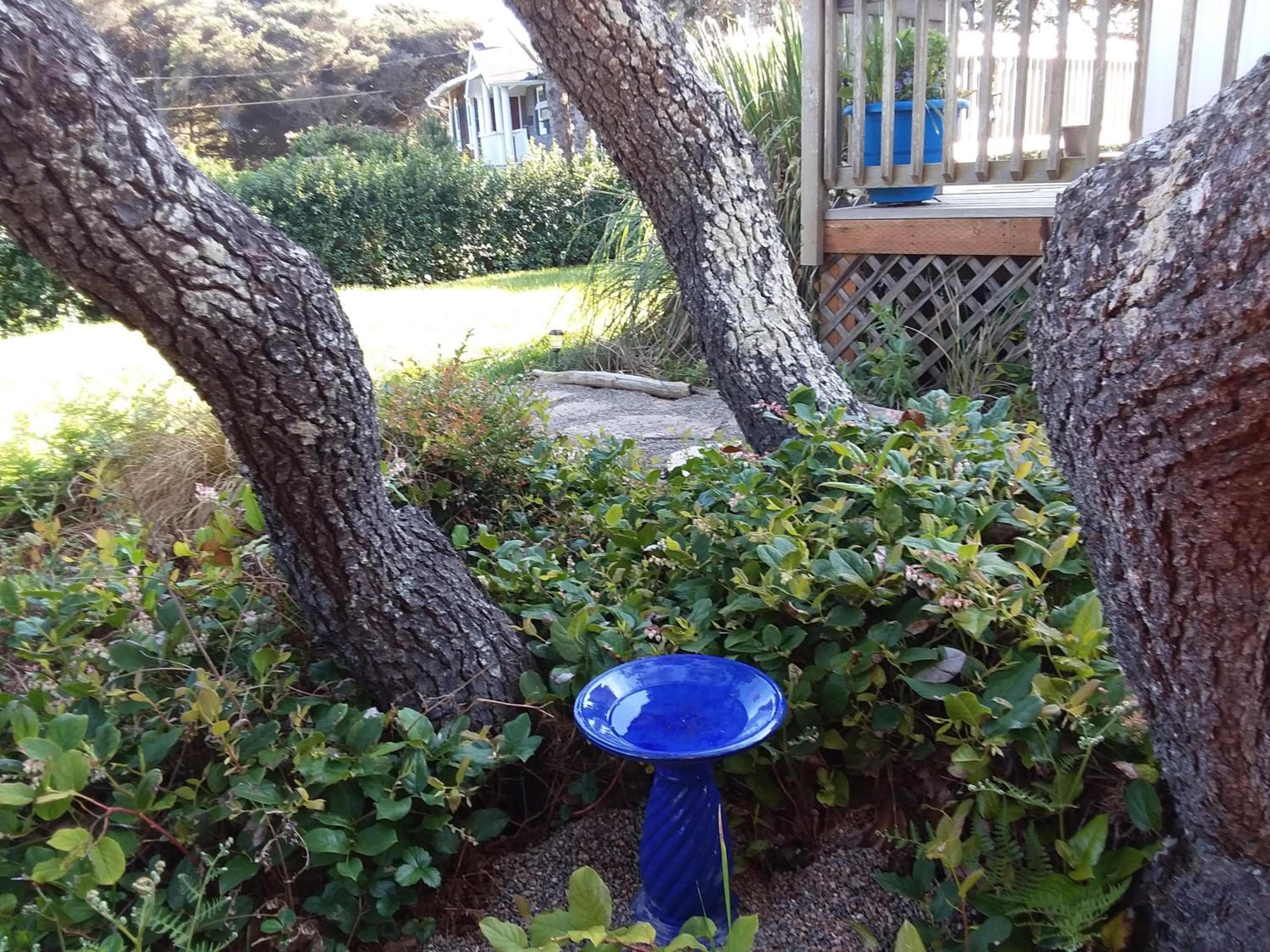 Photo 22