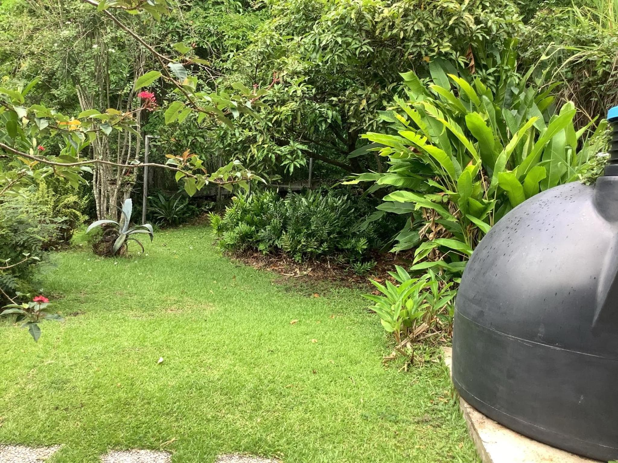 Photo 43