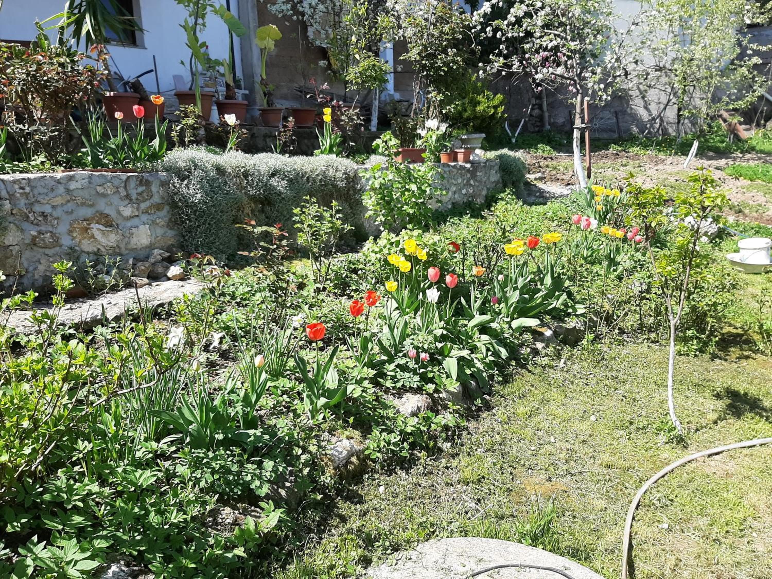 Photo 20