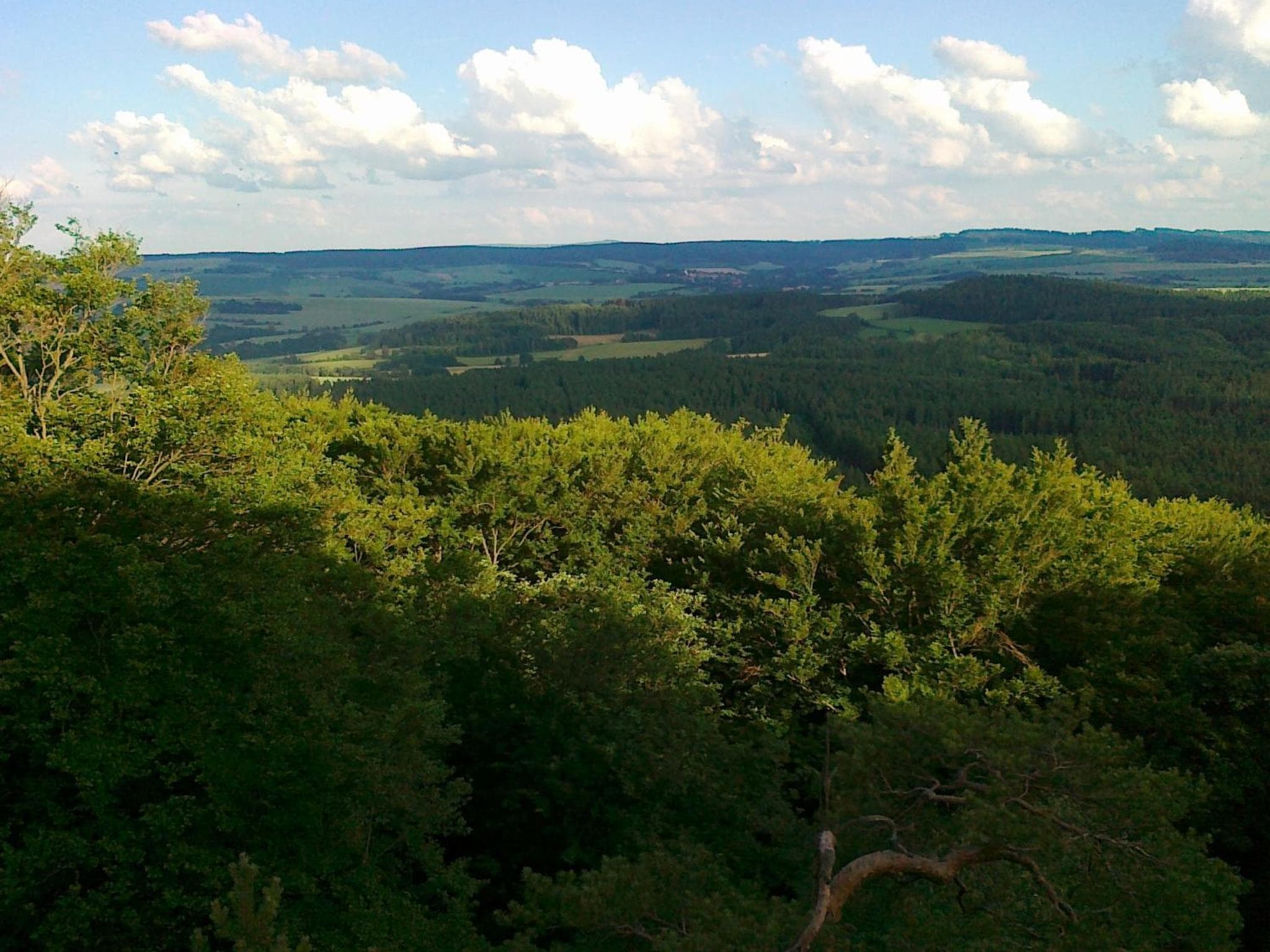 Photo 47