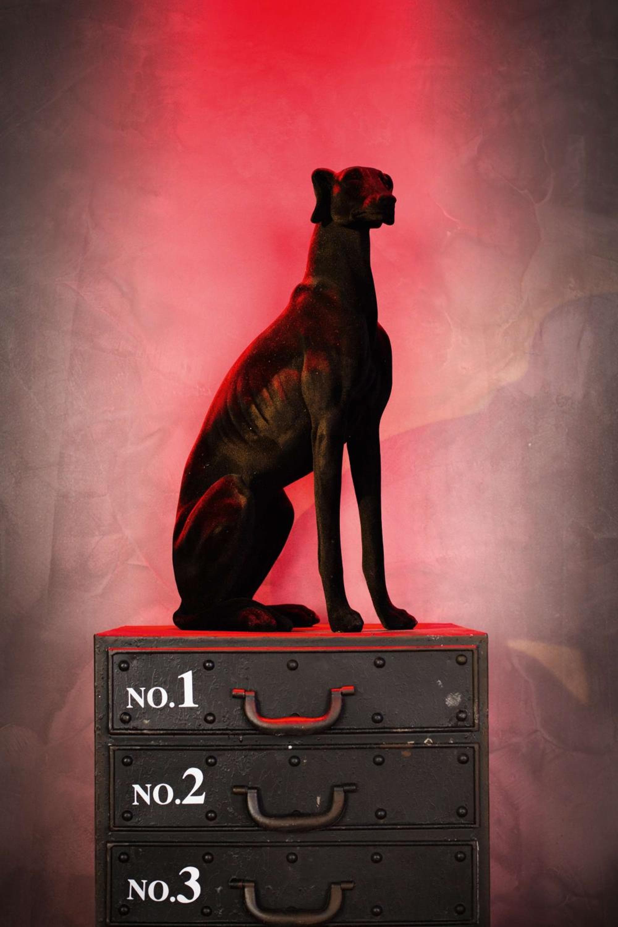 Photo 40
