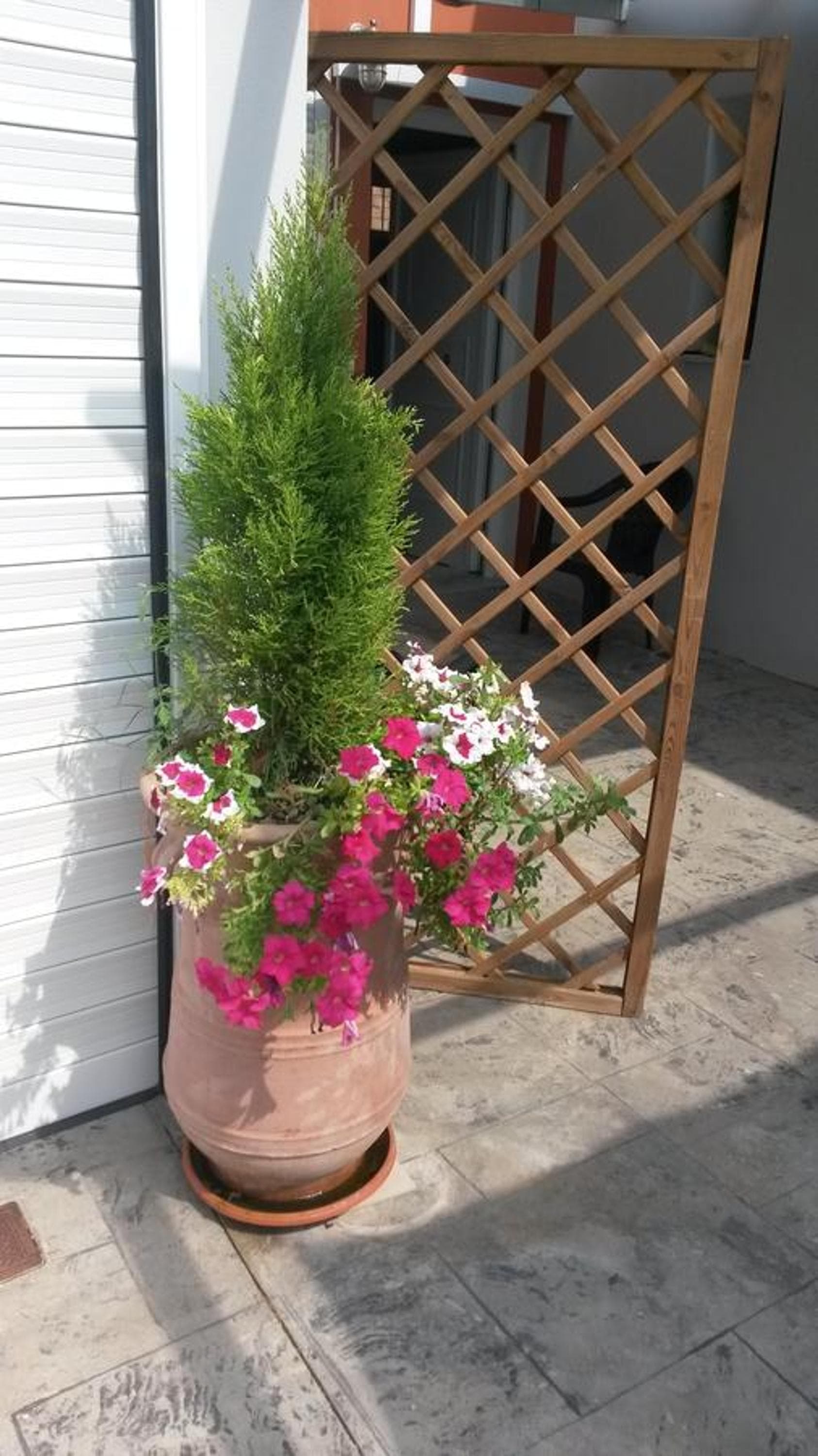 Photo 42