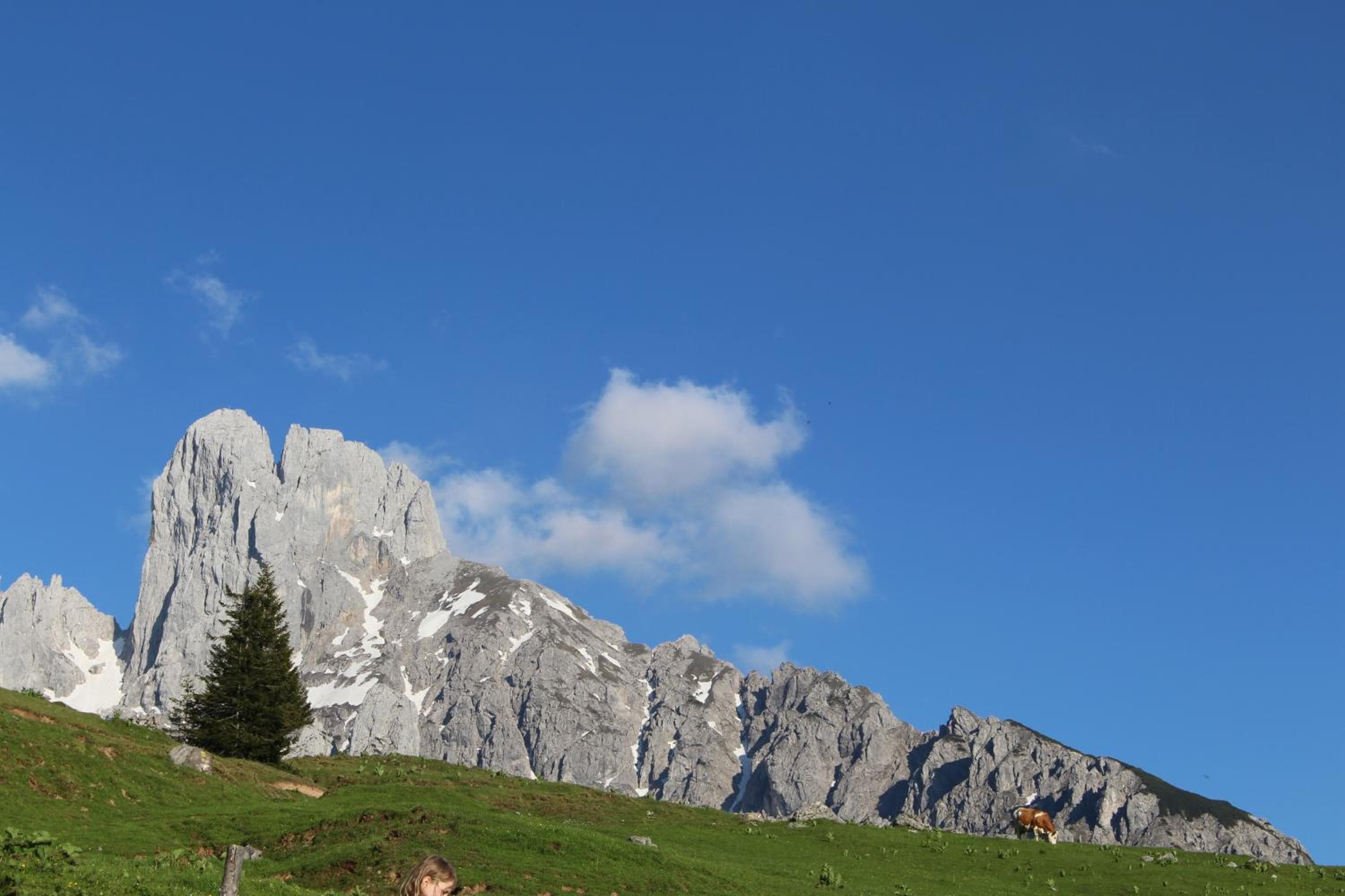 Photo 41