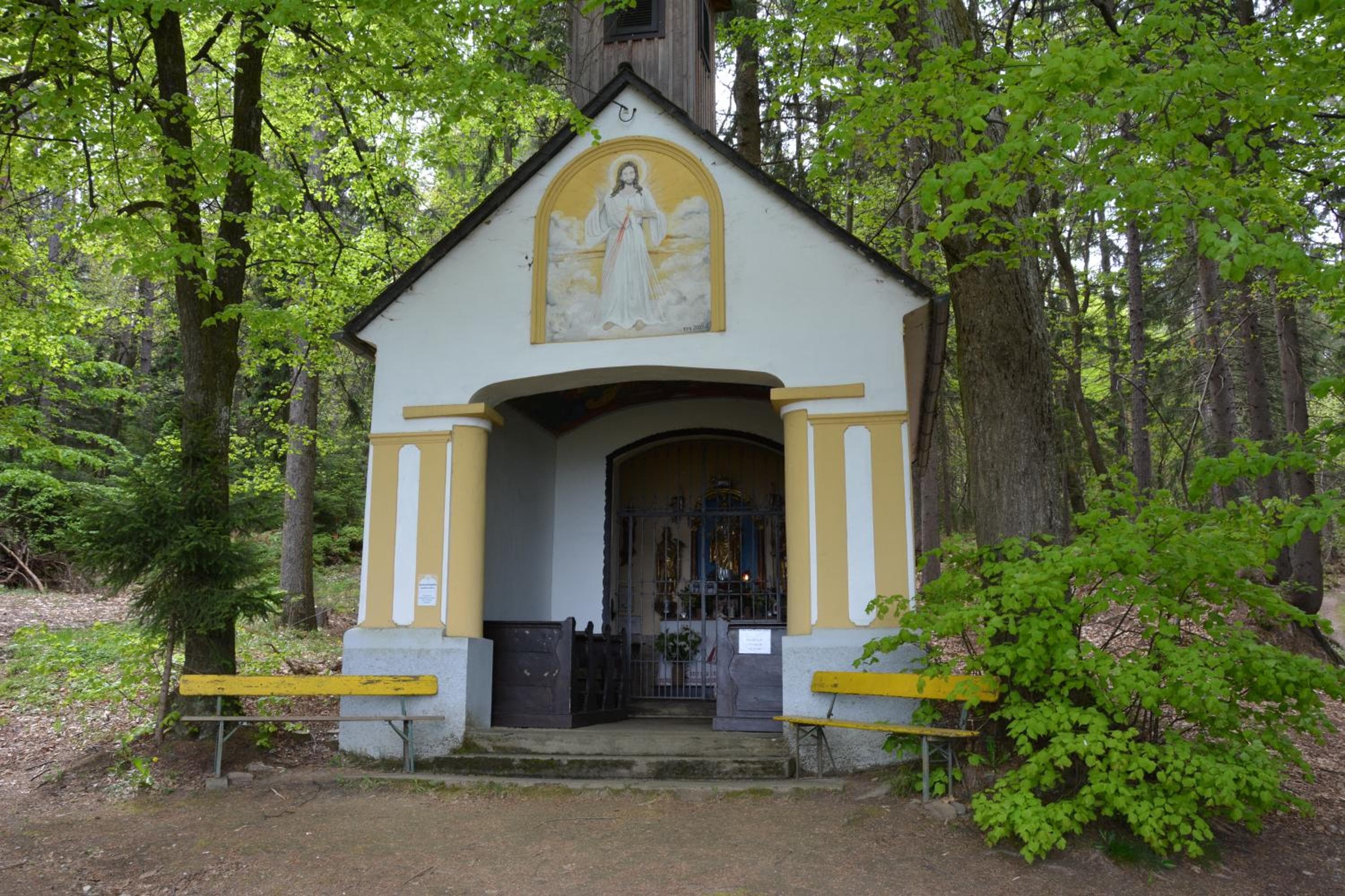 Photo 28