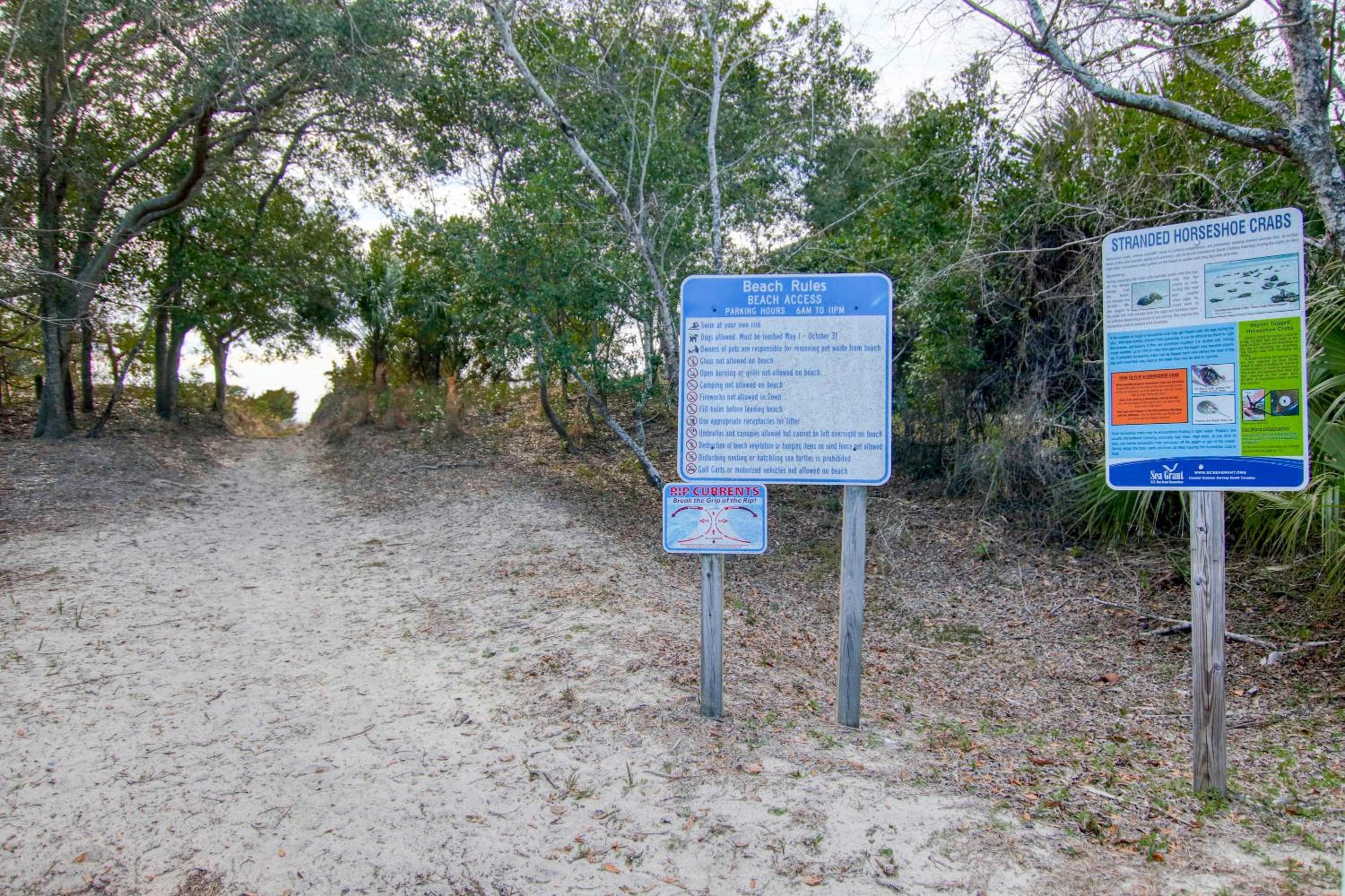 Photo 42