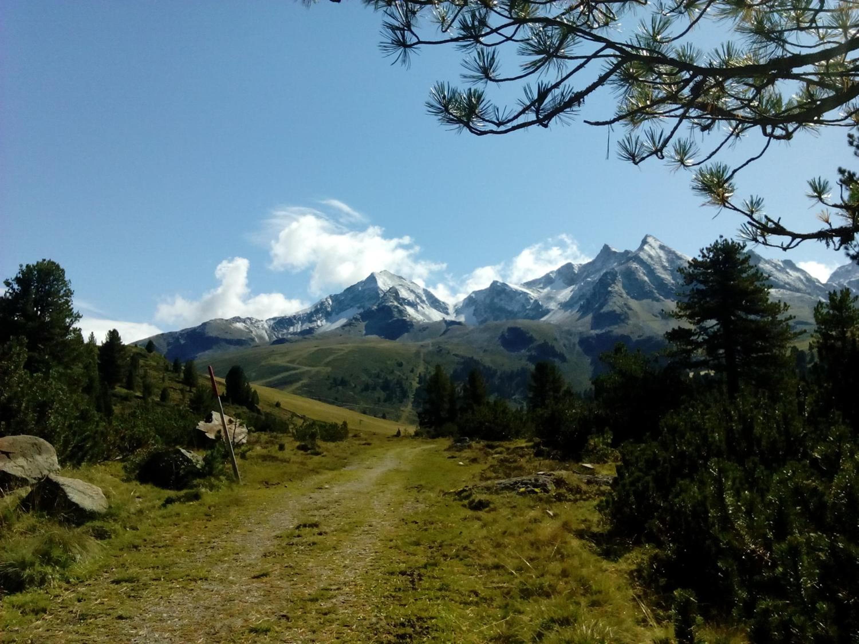 Photo 28