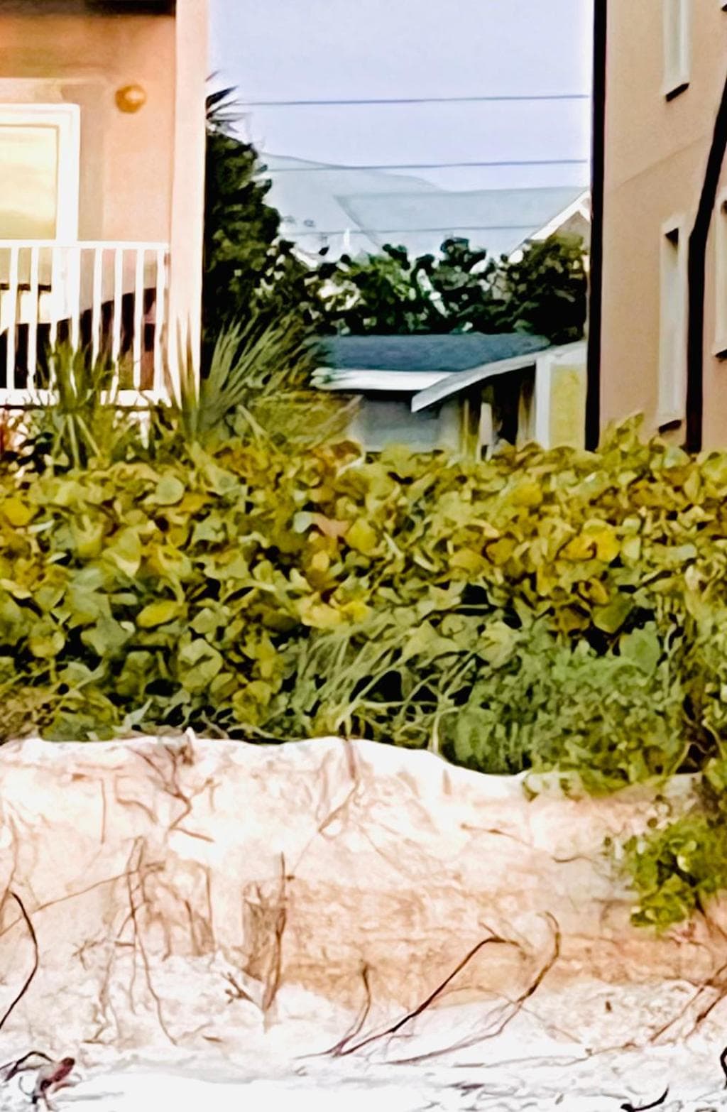 Photo 49